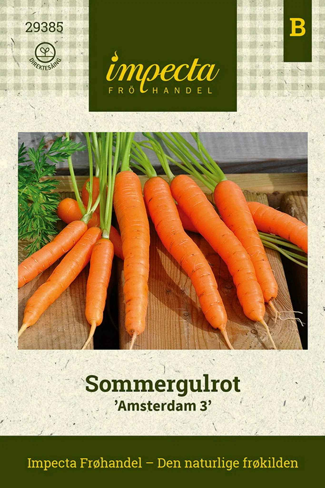 Daucus carota 'Amsterdam 3'