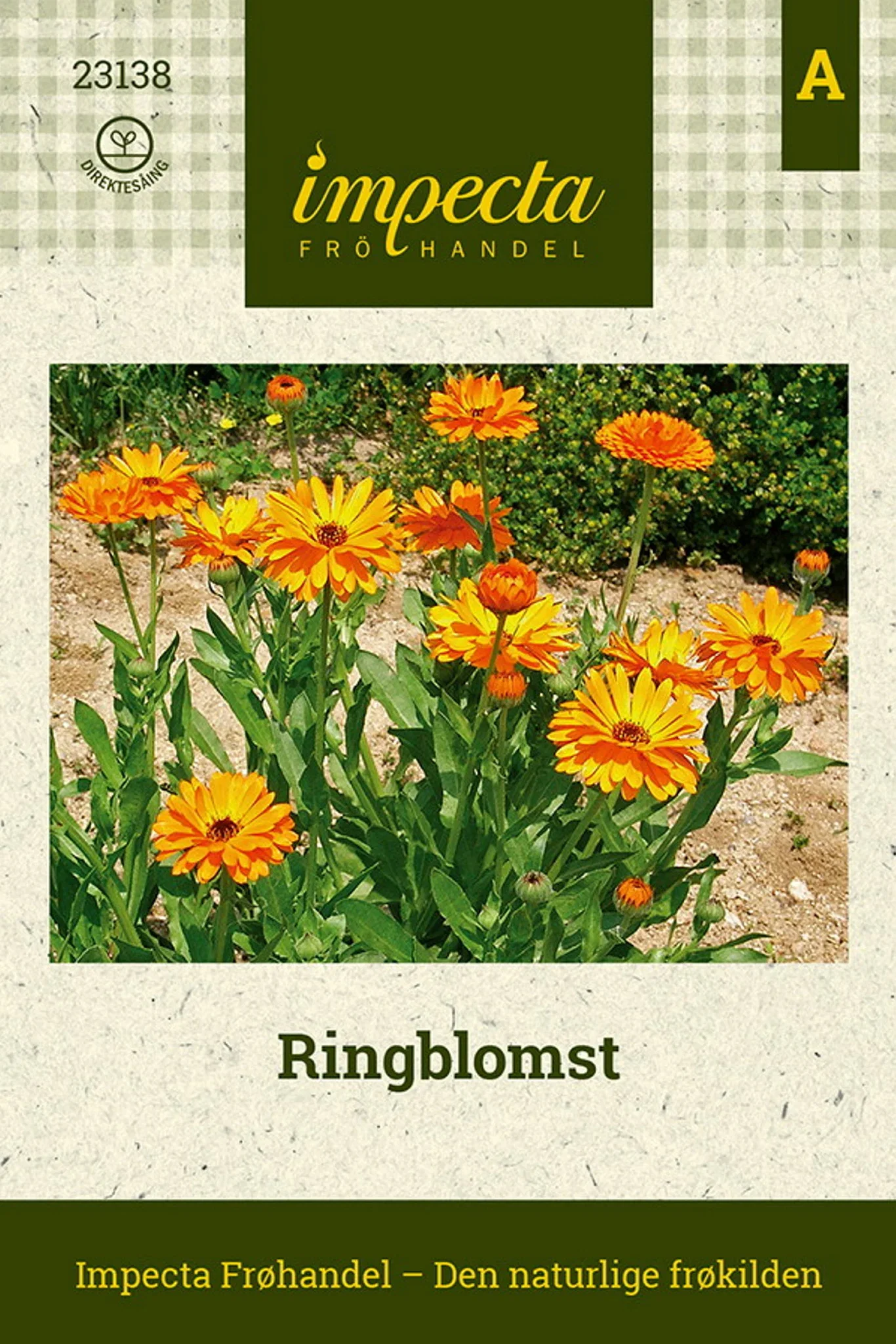 Ringblomst