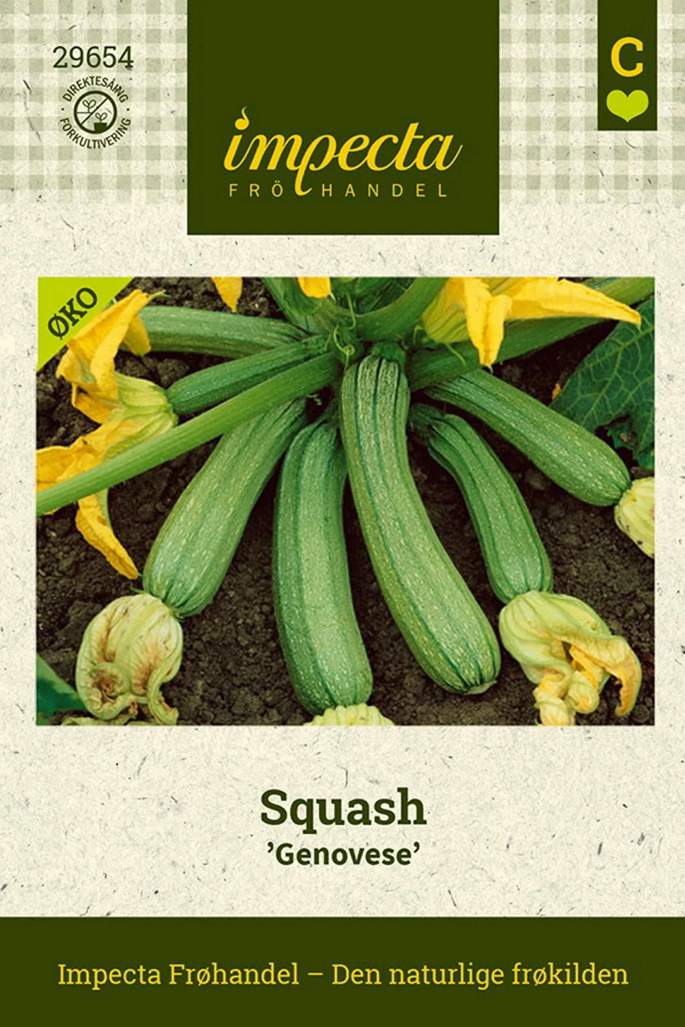 Squash 'Genovese'