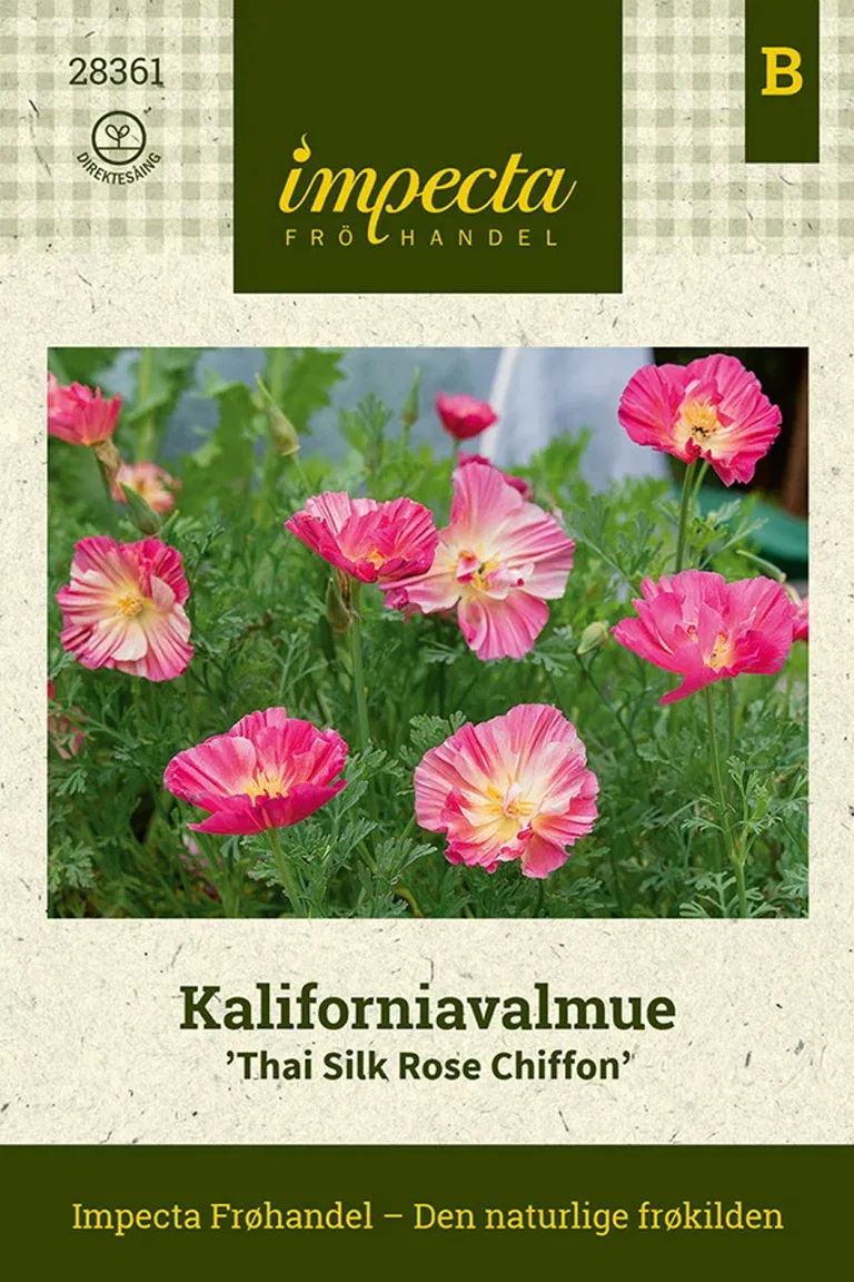 Kaliforniavalmue 'Thai Silk Rose Chiffon'