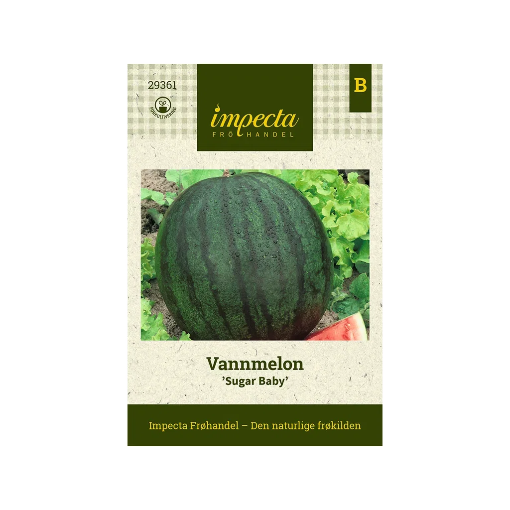 Citrullus lanatus 'Sugar Baby'