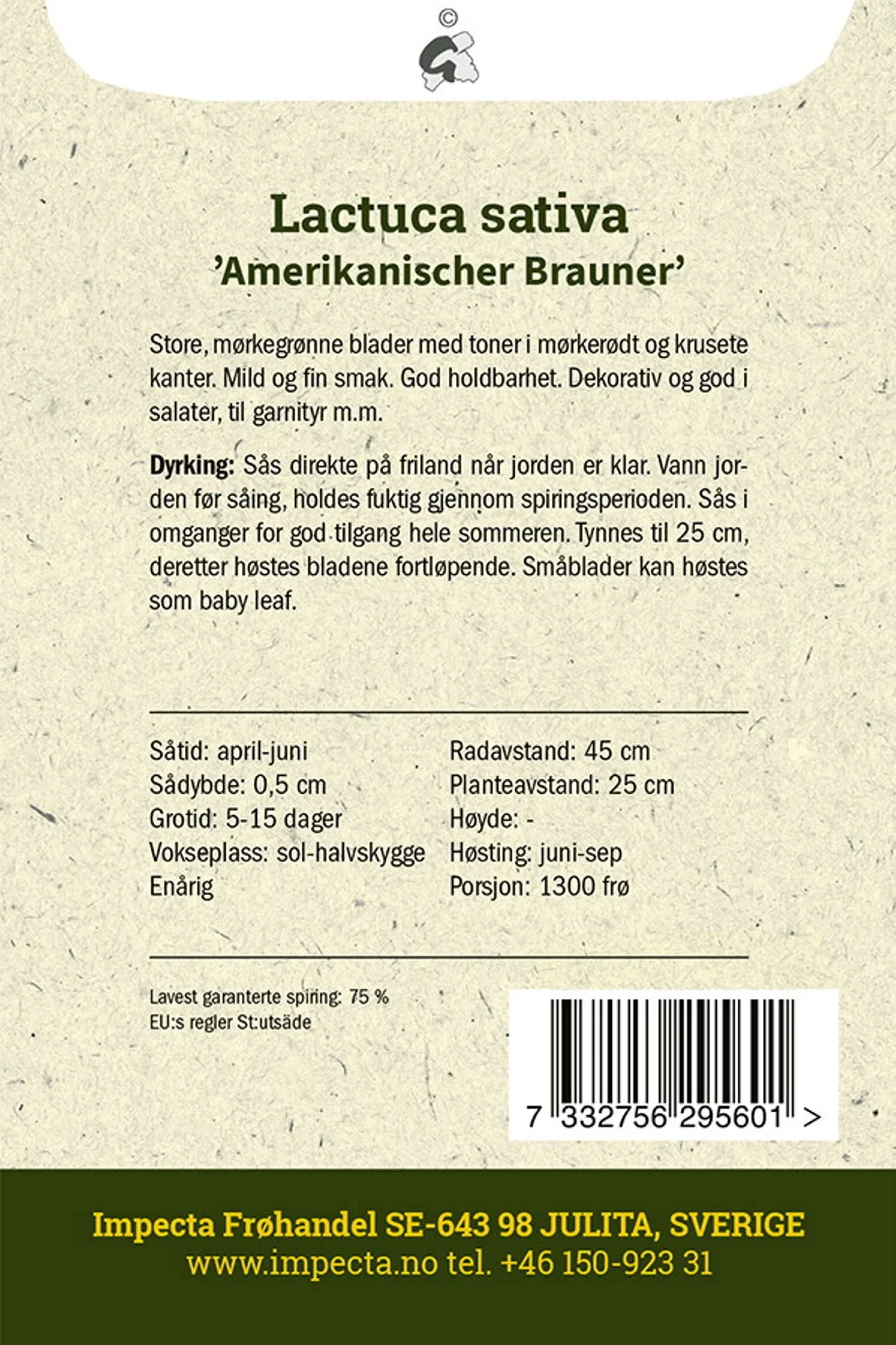 Lactuca sativa 'Amerikanischer Brauner'