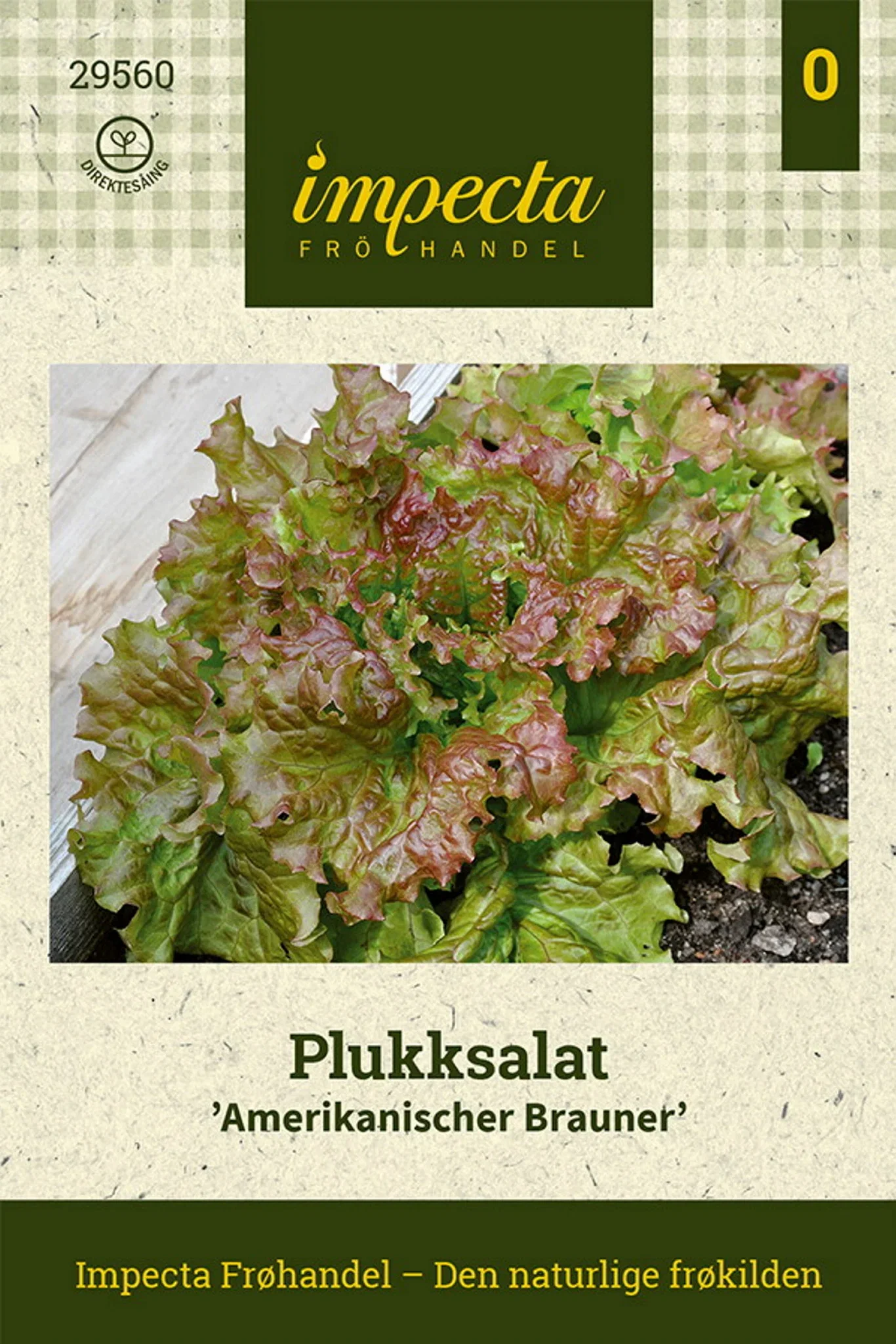 Lactuca sativa 'Amerikanischer Brauner'