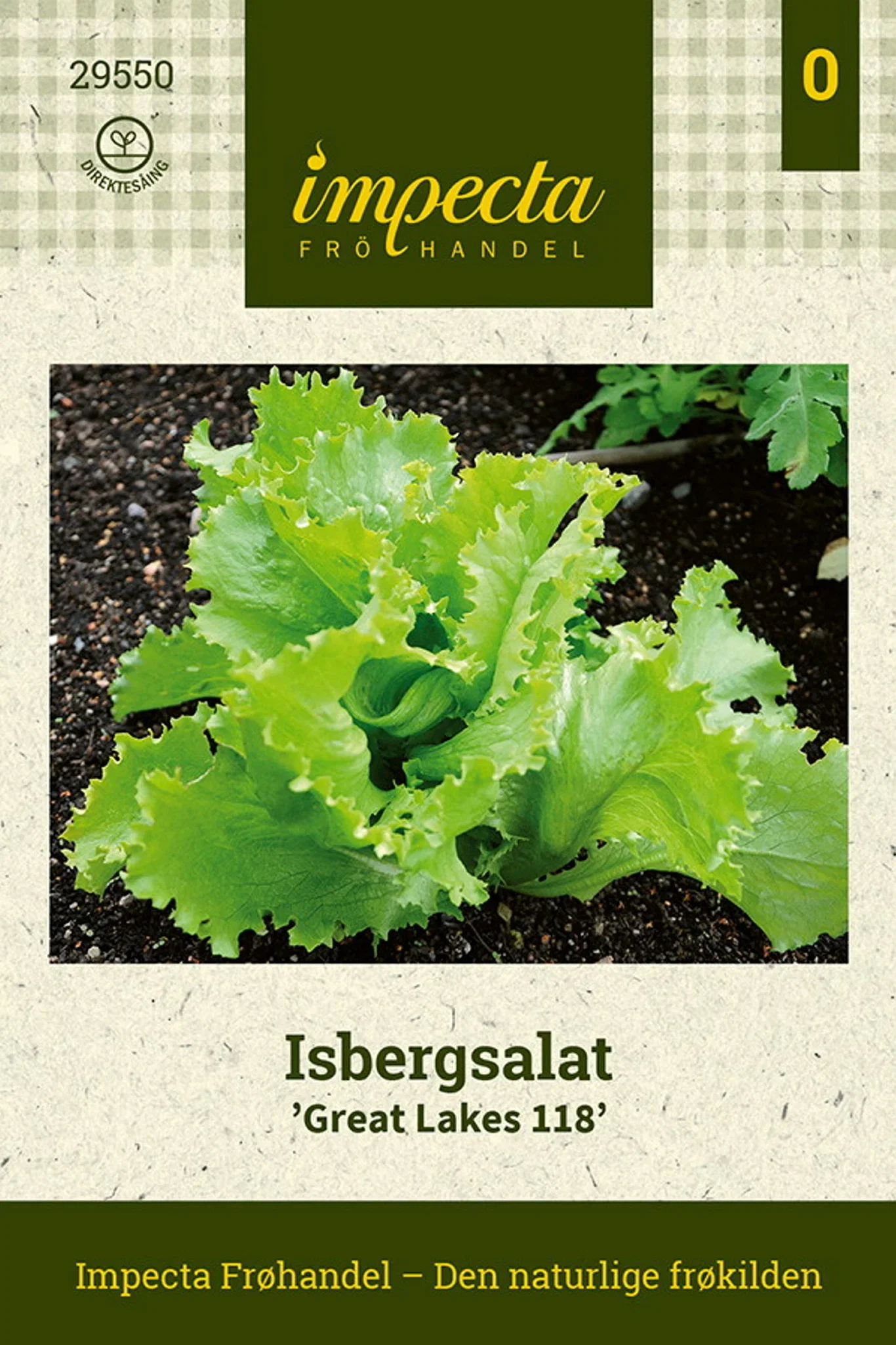Isbergsalat 'Great Lakes 118'