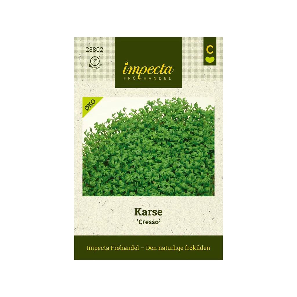 Lepidium sativum 'Cresso'