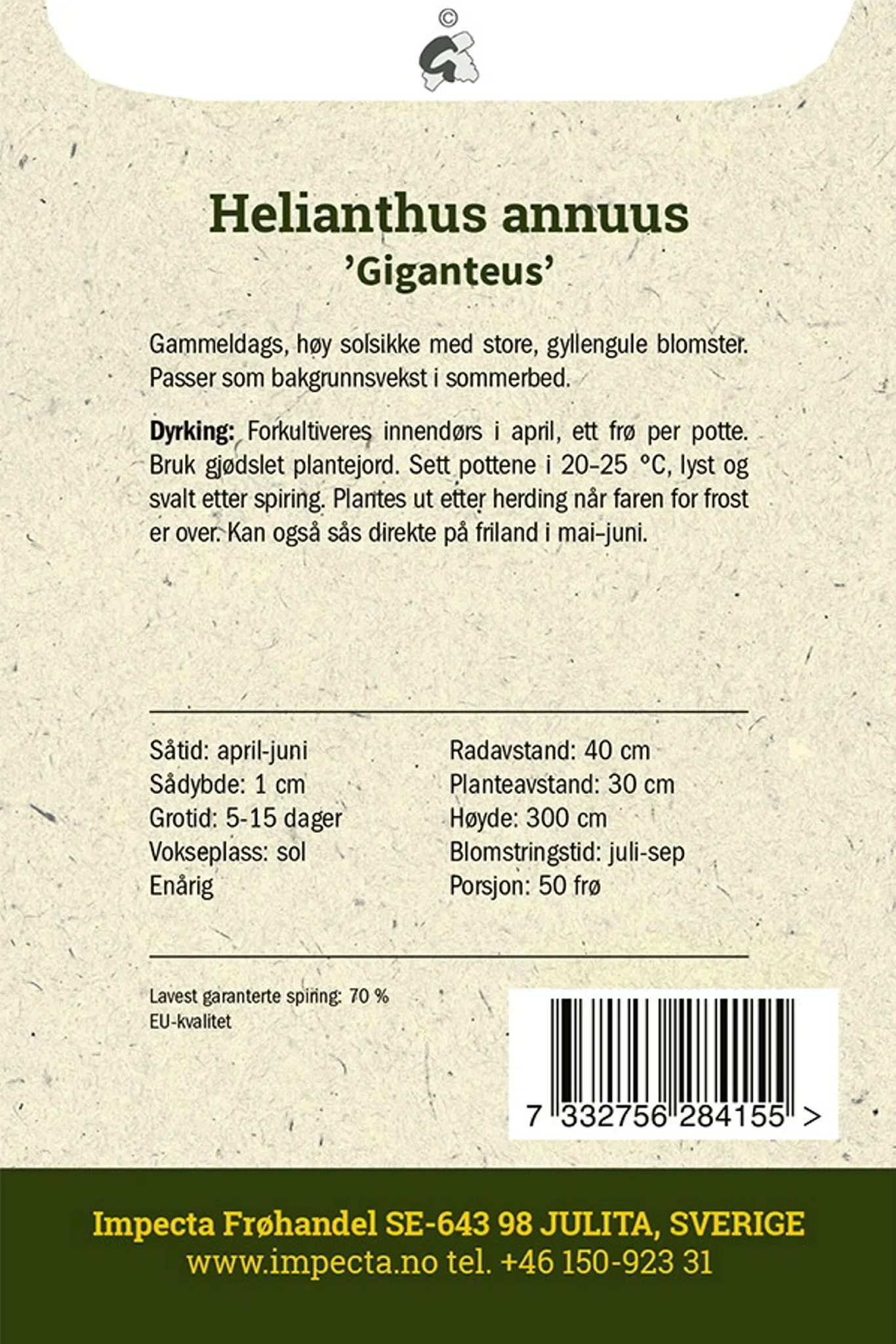 Helianthus annuus 'Giganteus'