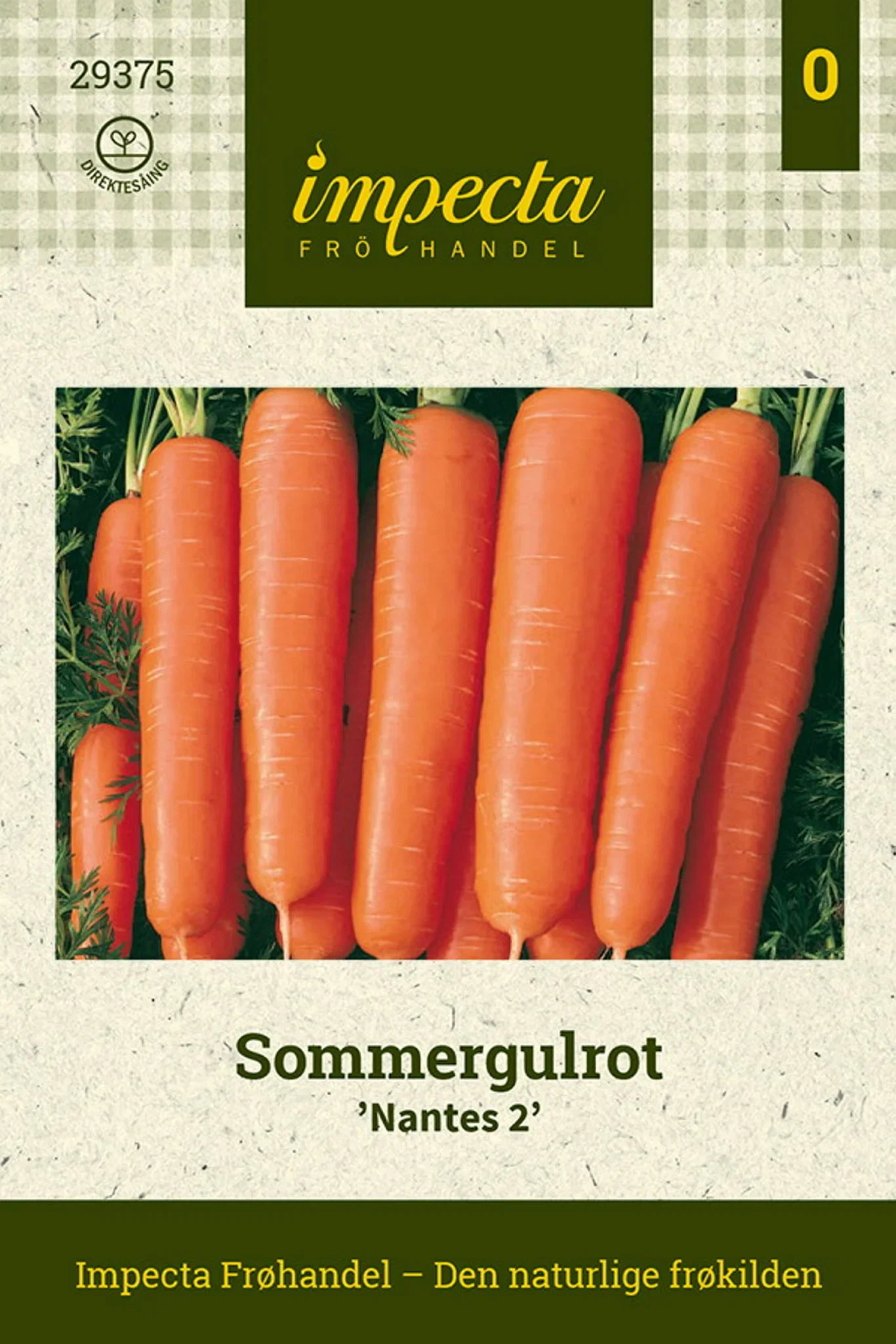 Daucus carota 'Nantes 2'