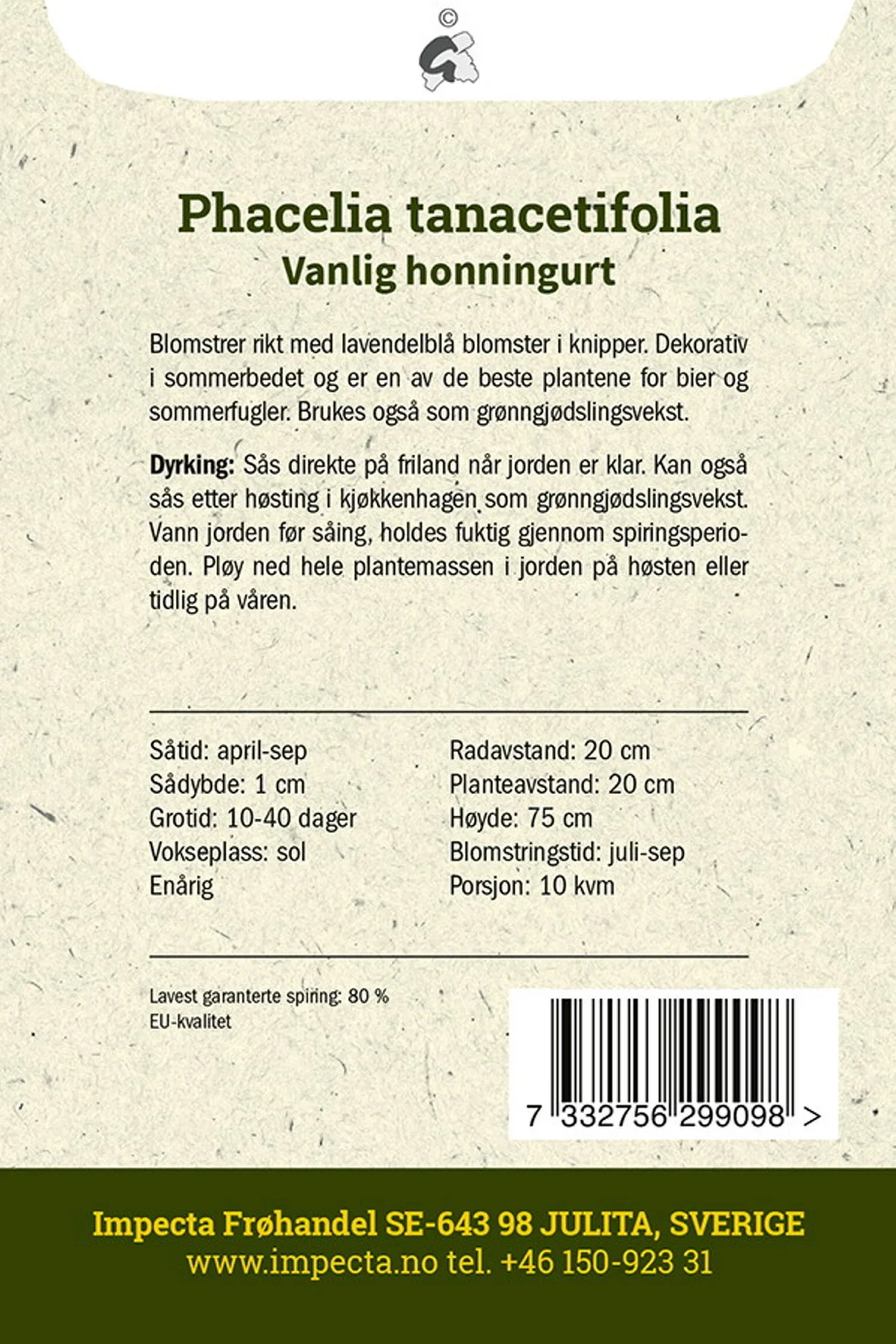 Phacelia tanacetifolia