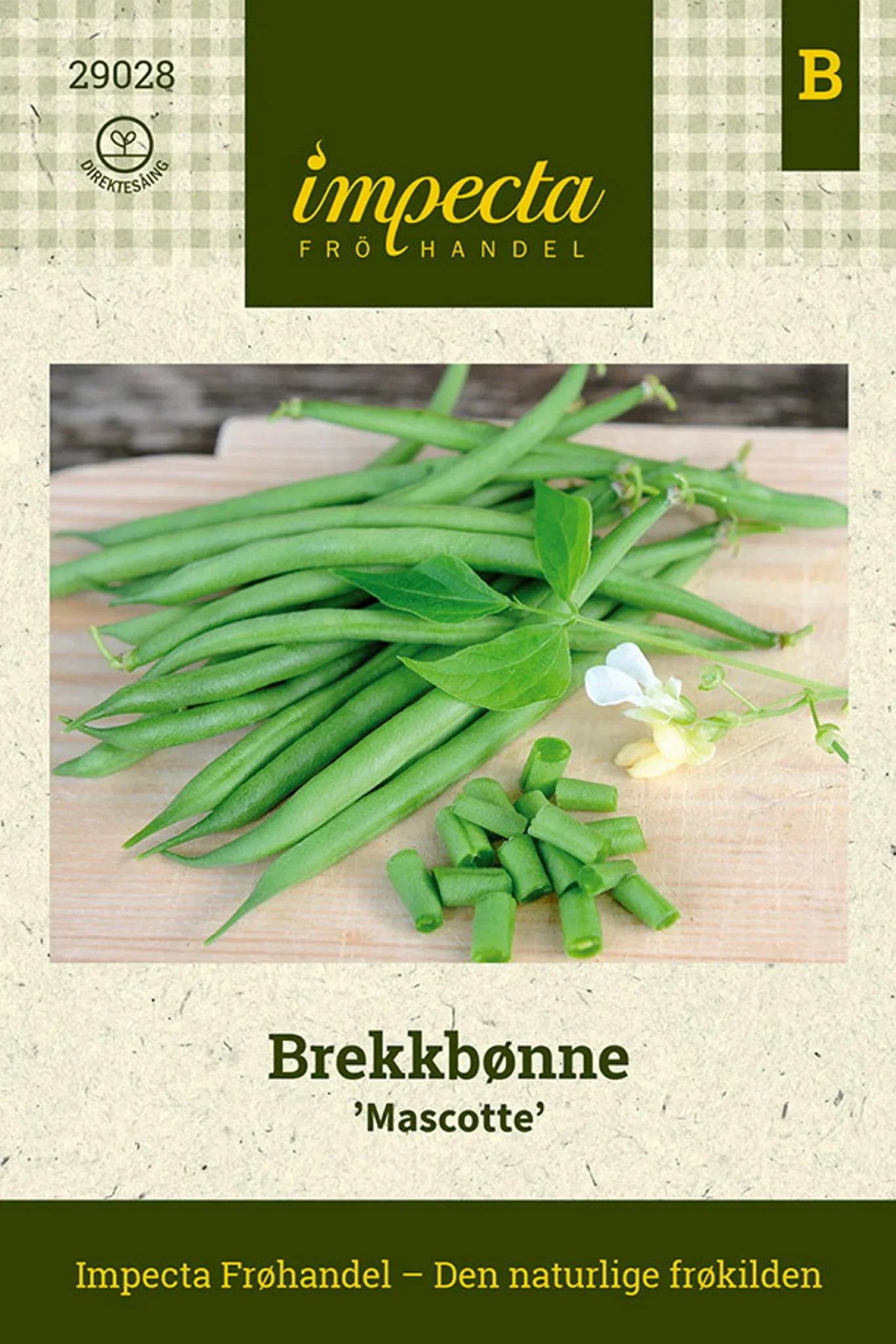 Brekkbønne 'Mascotte'