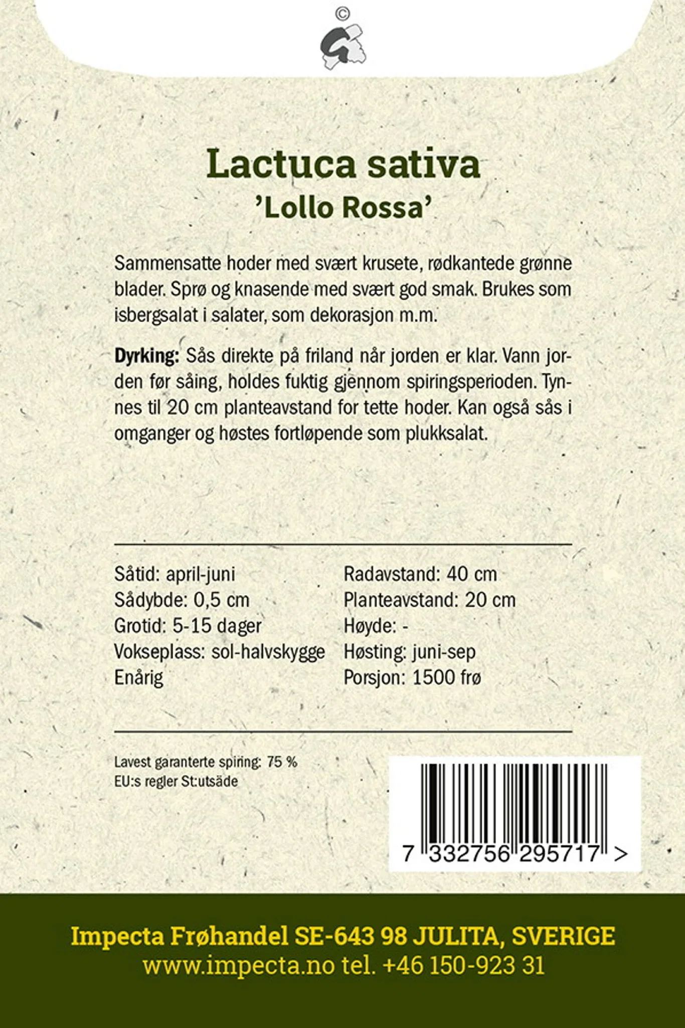 Lactuca sativa 'Lollo Rossa'