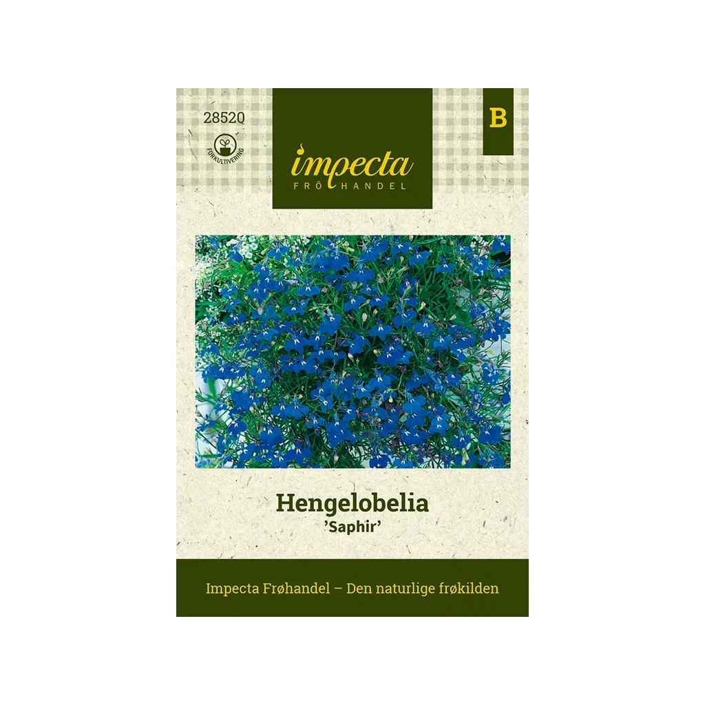 Lobelia erinus pendula 'Saphir'