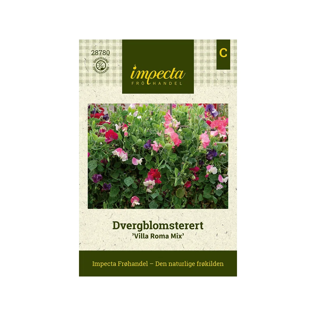 Lathyrus odoratus var. nanellus 'Villa Roma Mix'