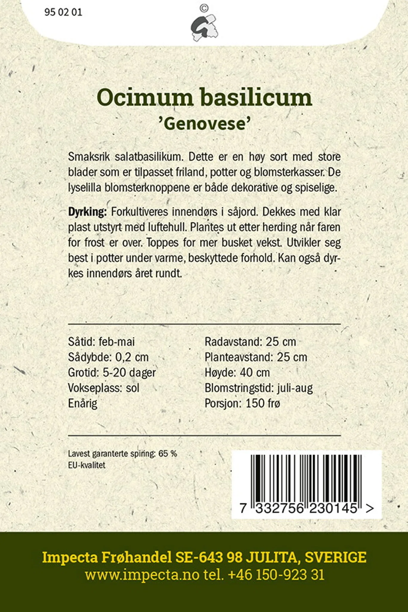 Storbladet basilikum 'Genovese'