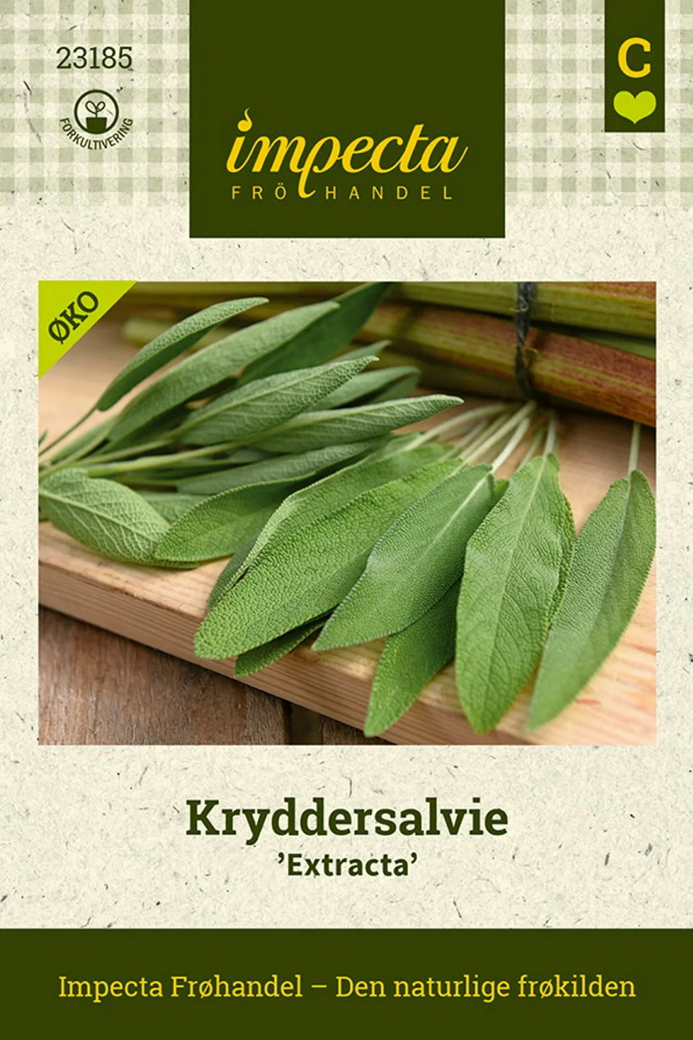 Kryddersalvie 'Extracta'