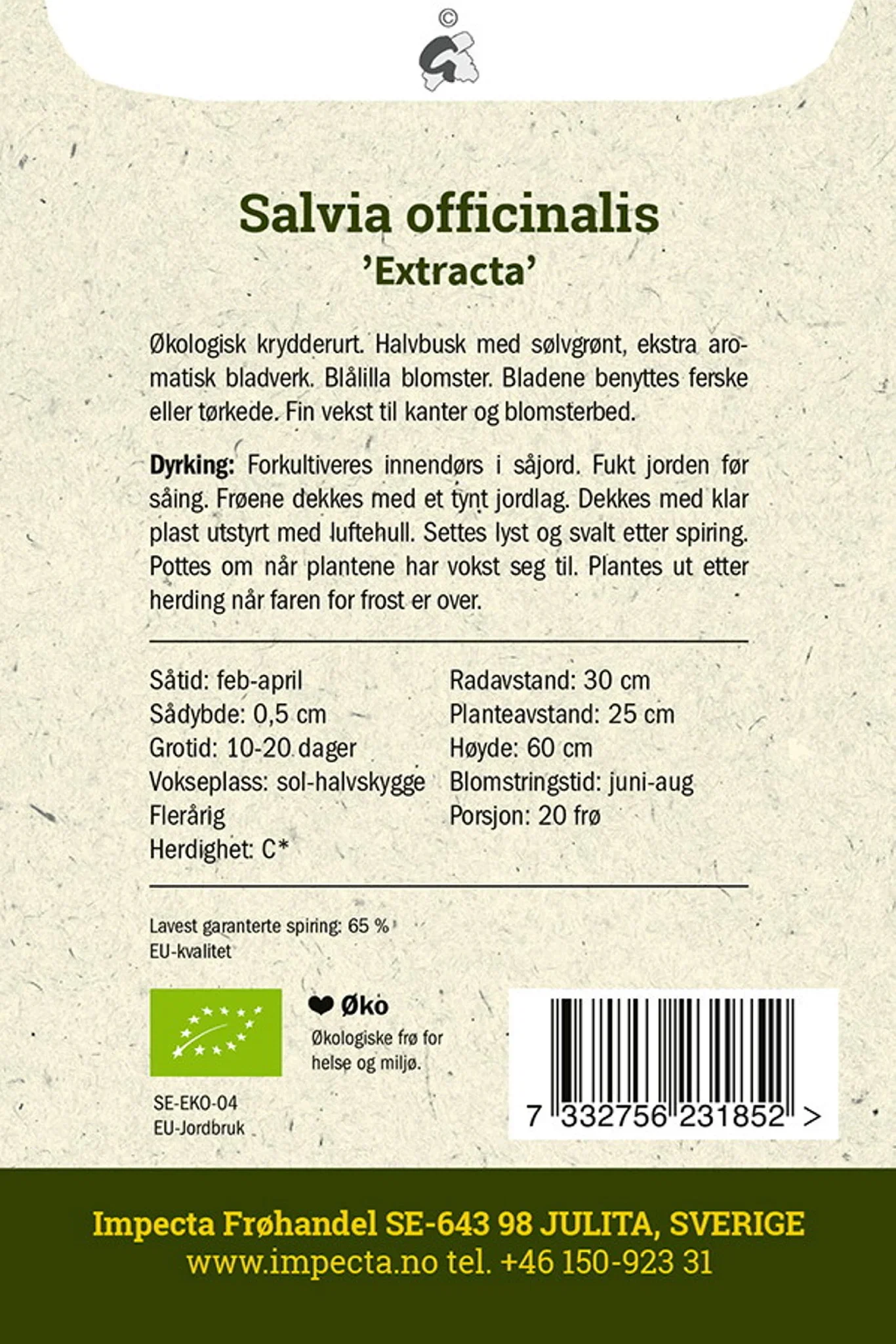 Kryddersalvie 'Extracta'