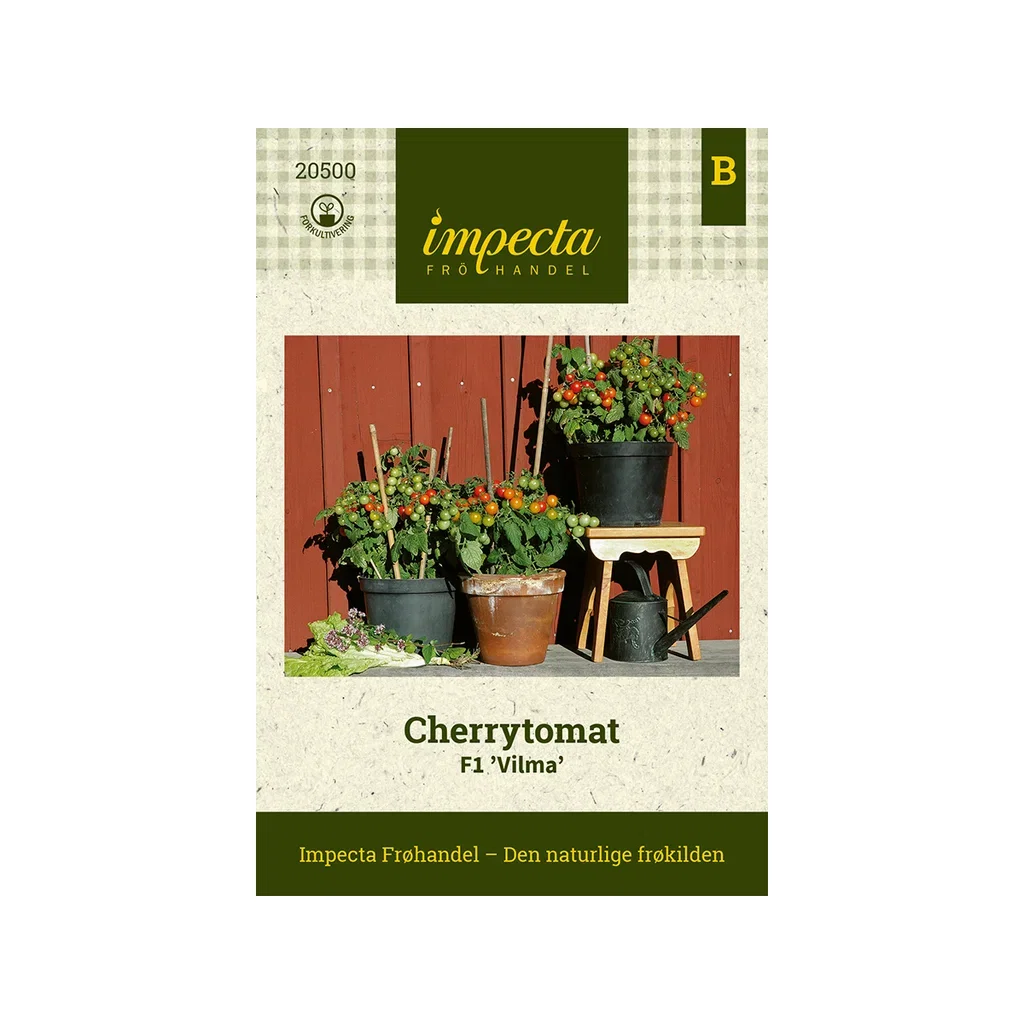 Solanum lycopersicum F1 'Vilma'