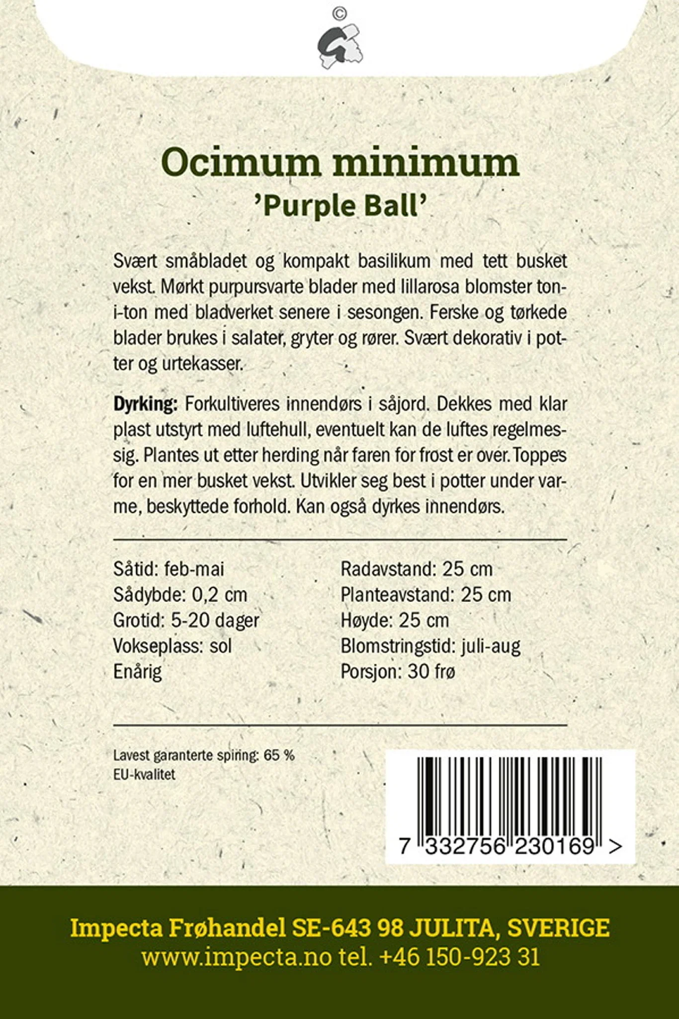 Ocimum minimum 'Purple Ball'