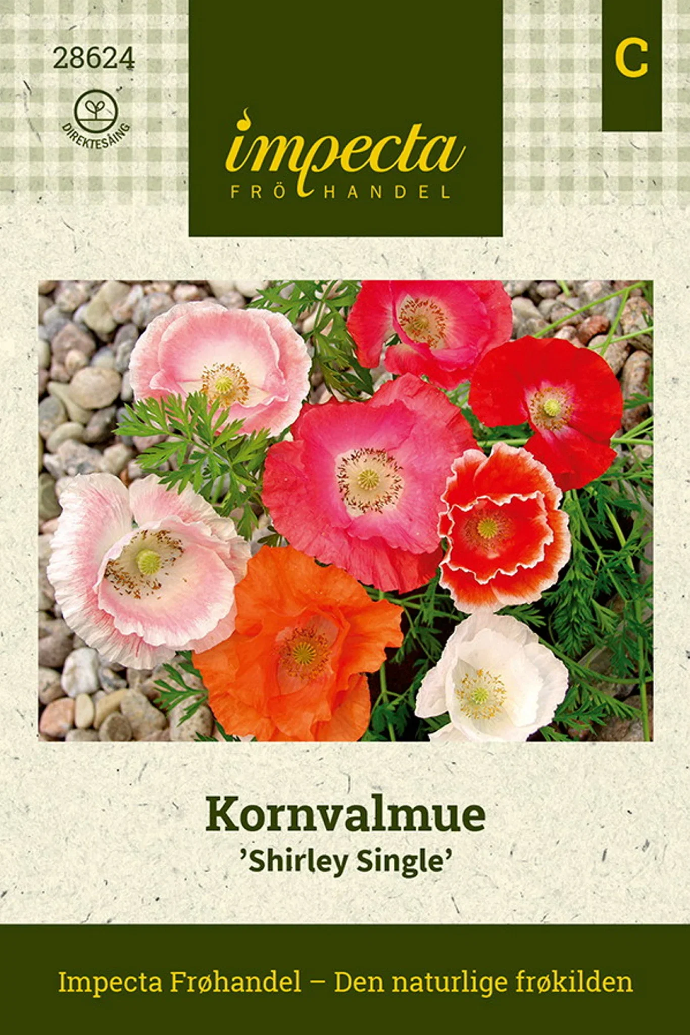 Kornvalmue 'Shirley Single'