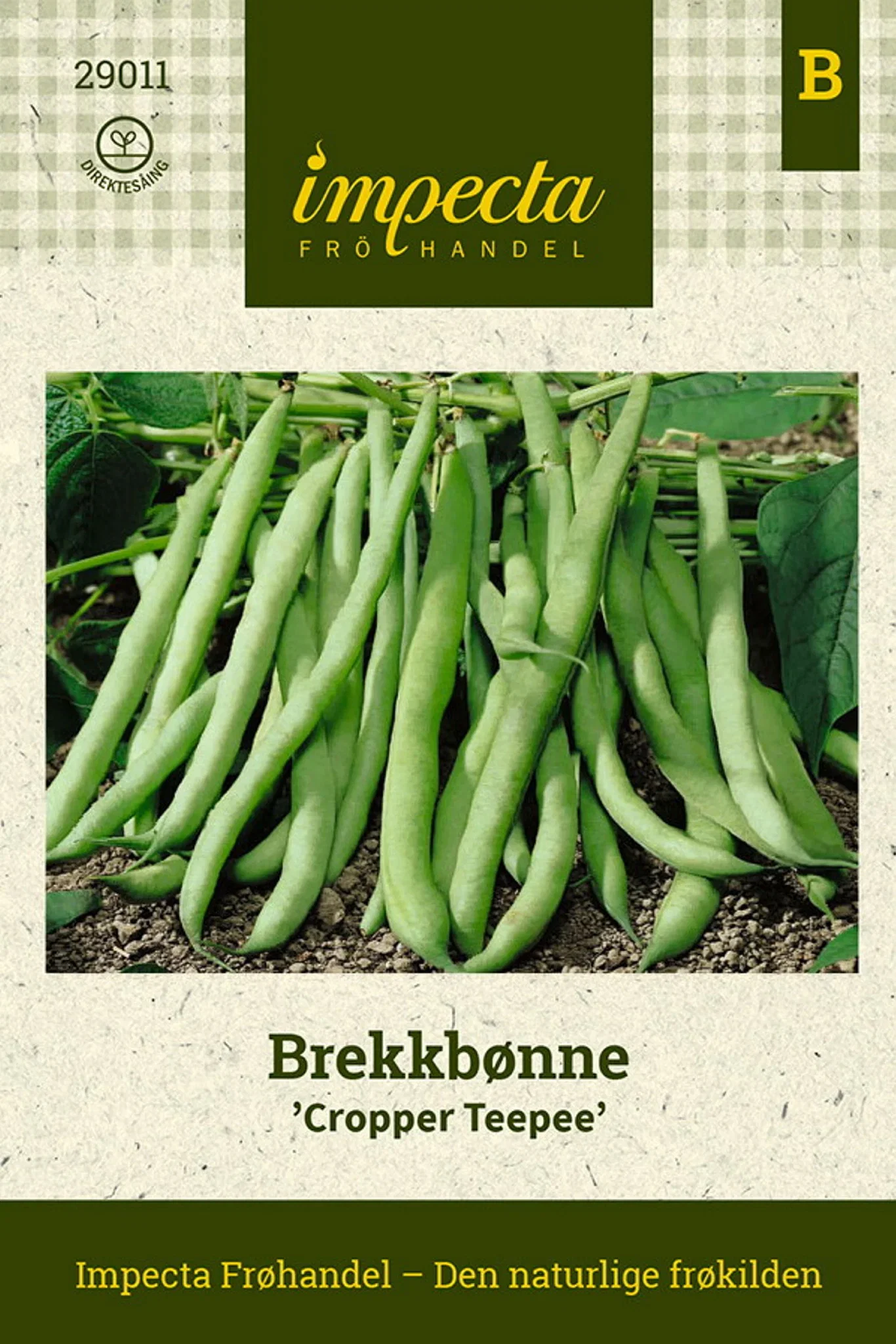 Brekkbønne 'Cropper Teepee'