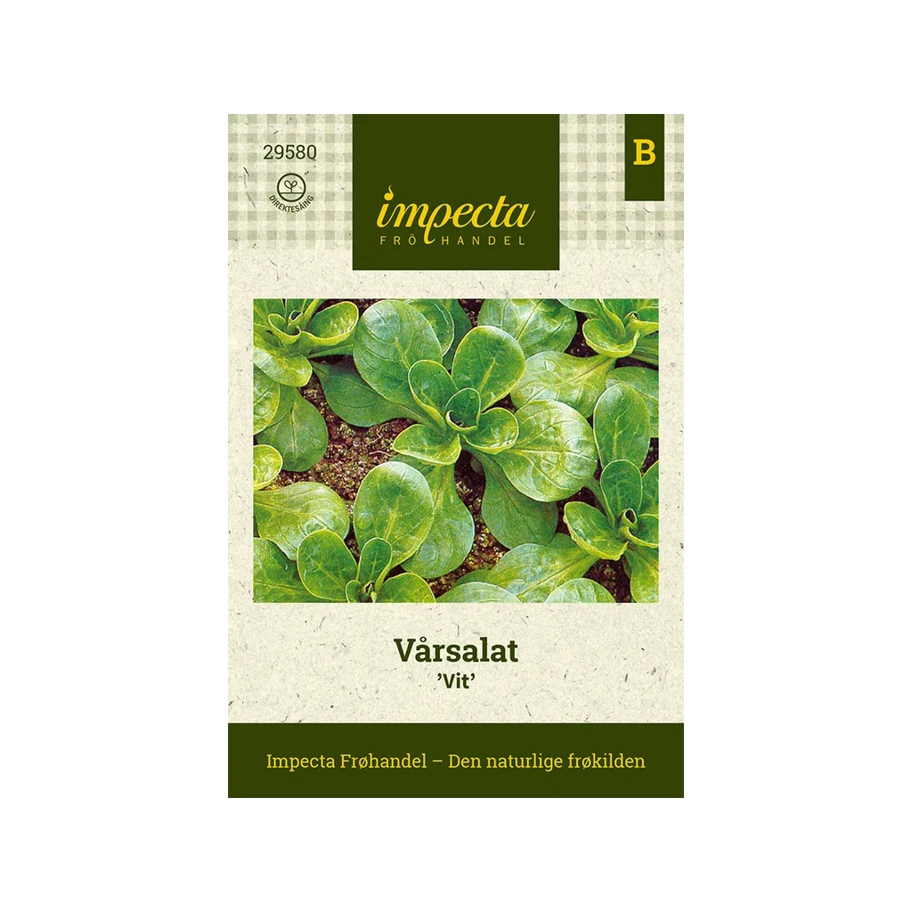 Vårsalat 'Vit'