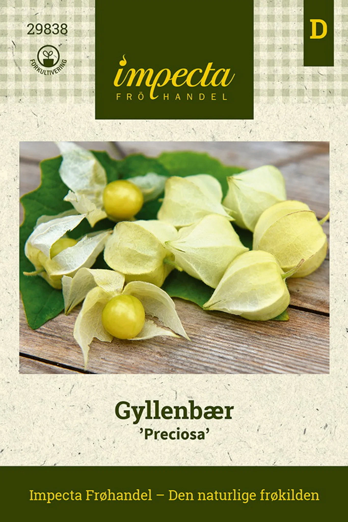 Physalis grisea 'Preciosa'