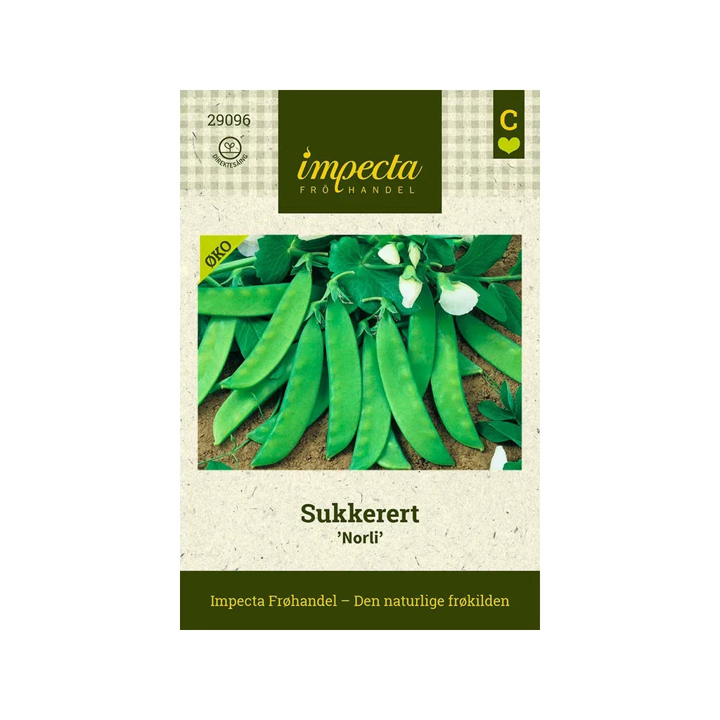 Pisum sativum 'Norli'