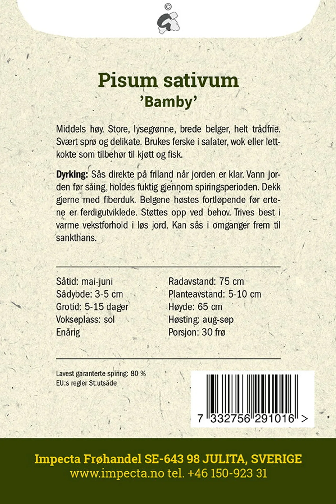 Pisum sativum 'Bamby'