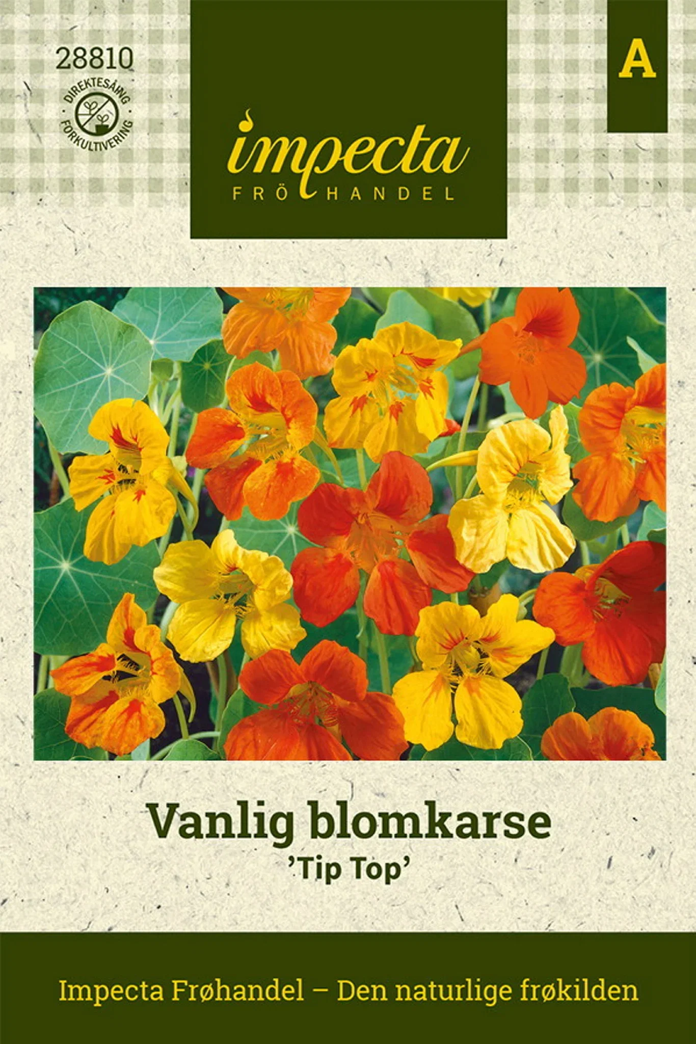 Vanlig blomkarse 'Tip Top'
