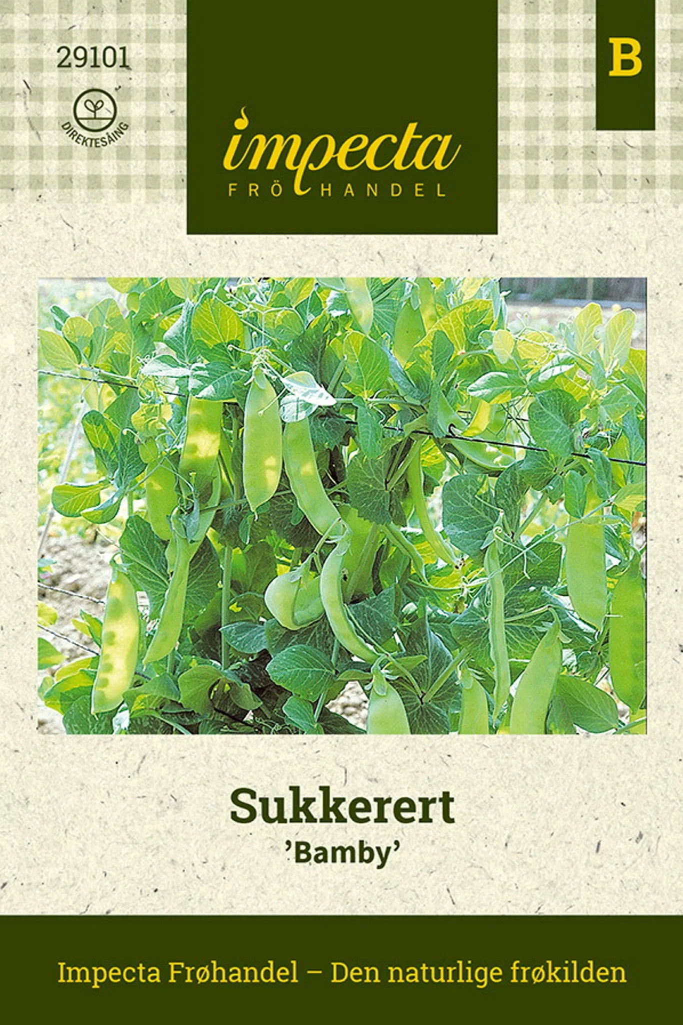 Pisum sativum 'Bamby'