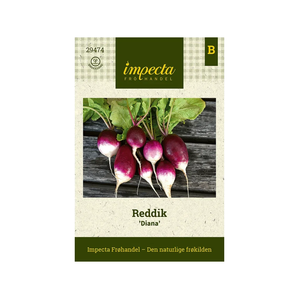 Raphanus sativus 'Diana'