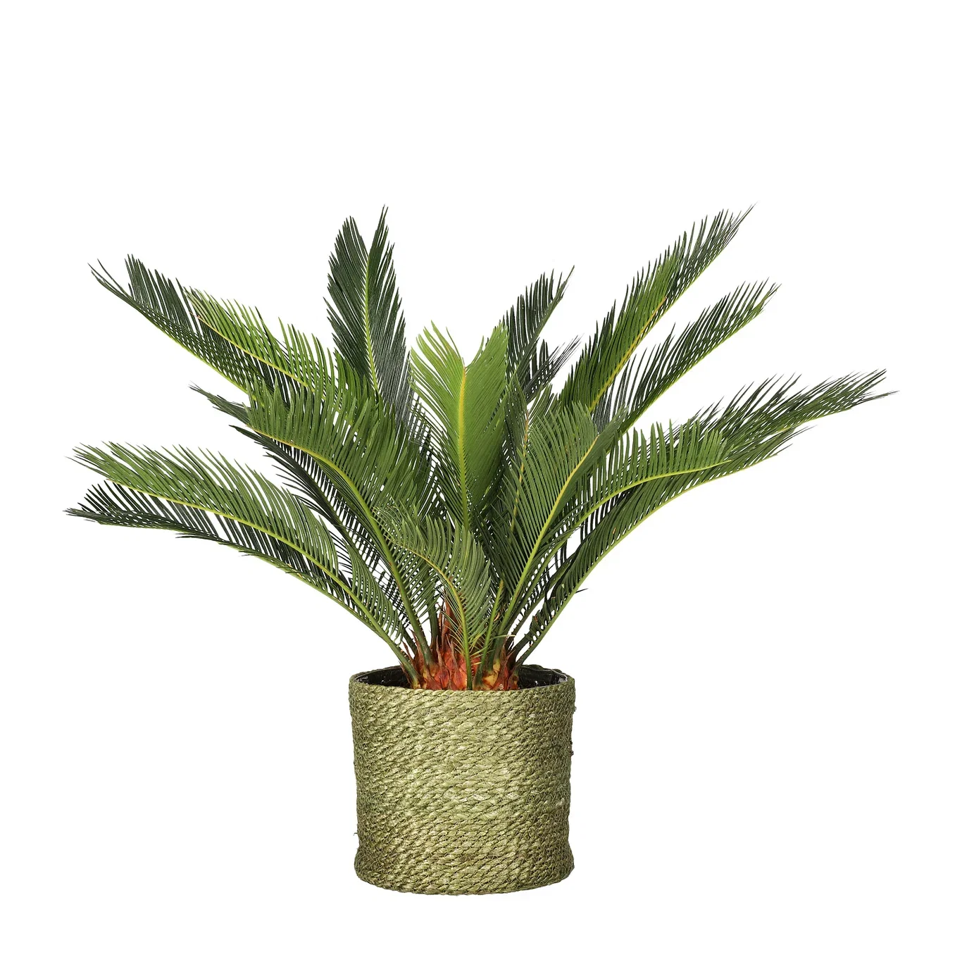 Naledi pot D20 green