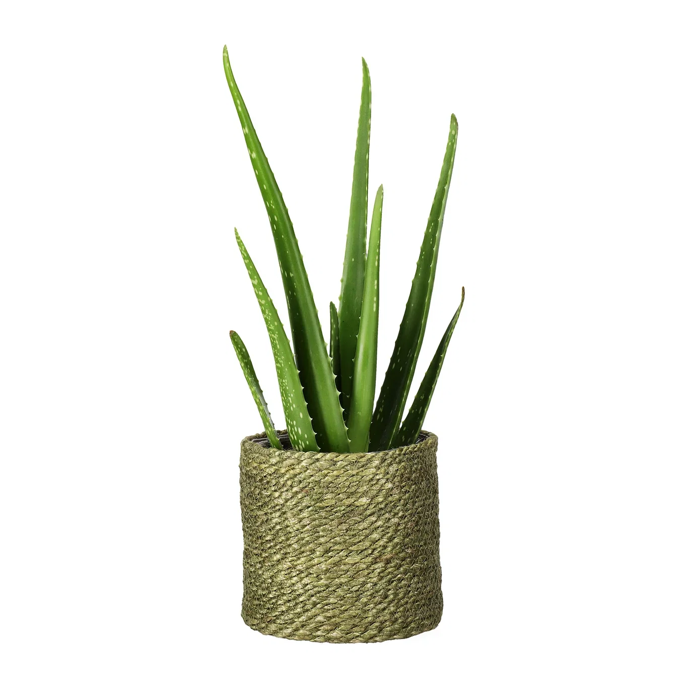 Naledi pot D16 green