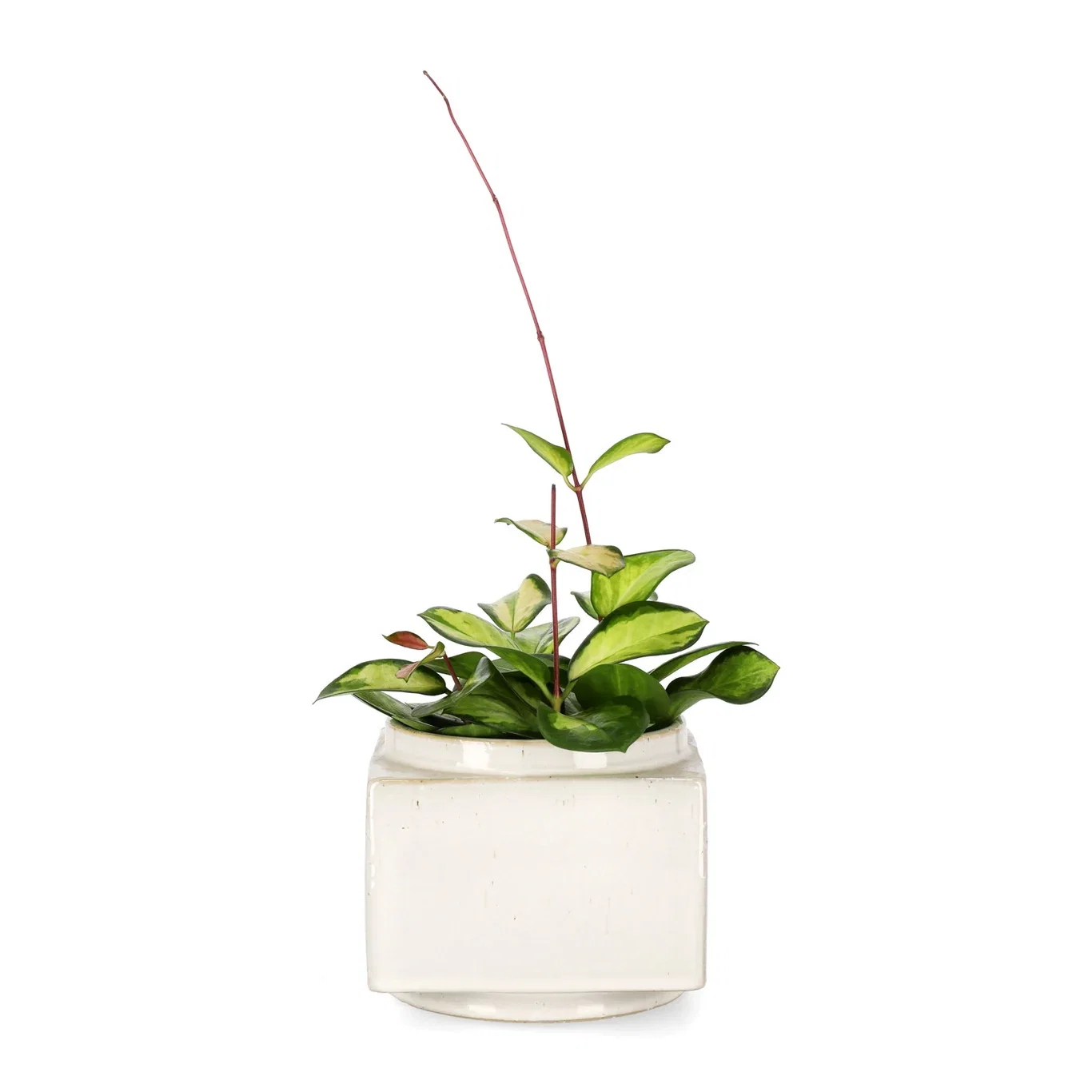 Ohara pot D14,5 white