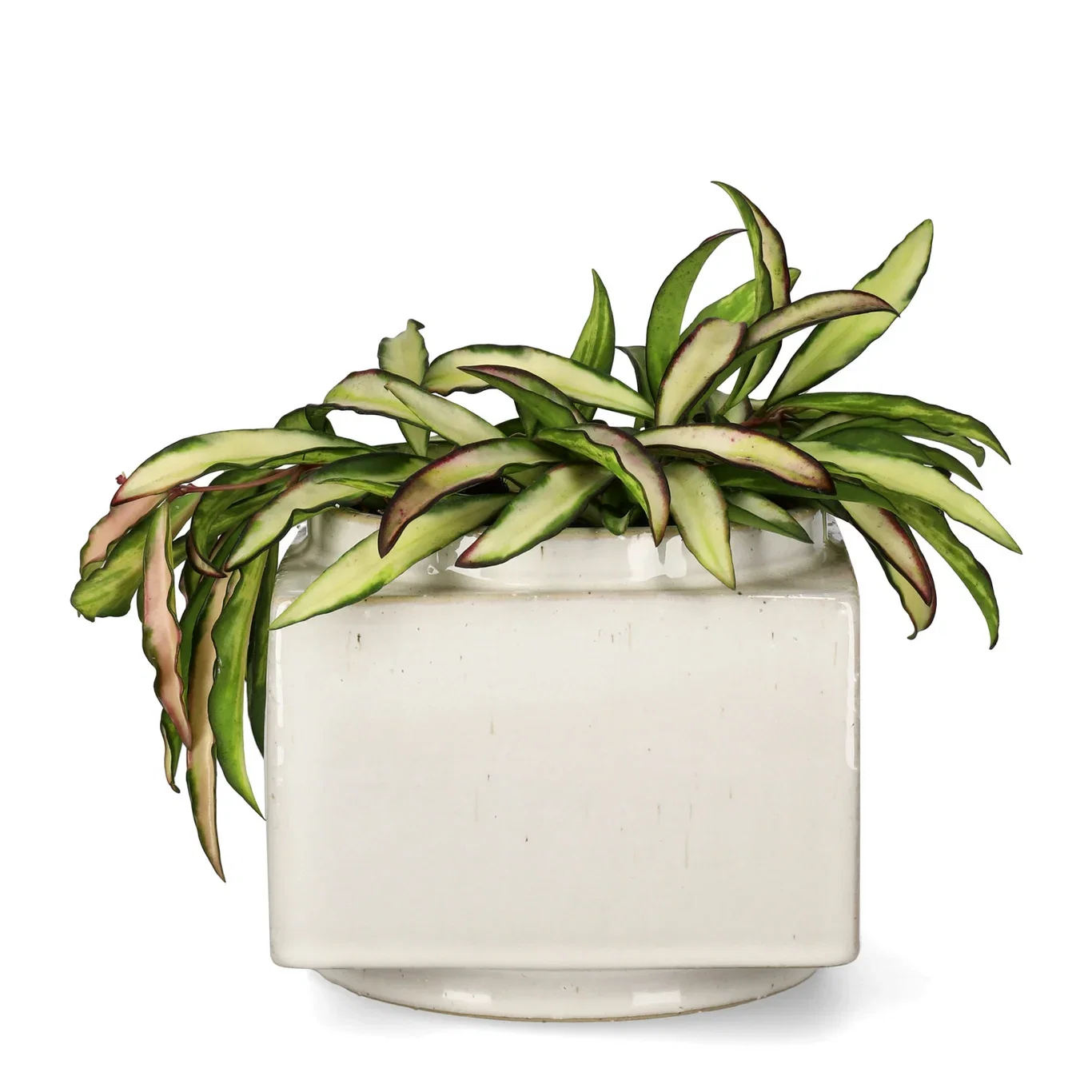 Ohara pot D14,5 white