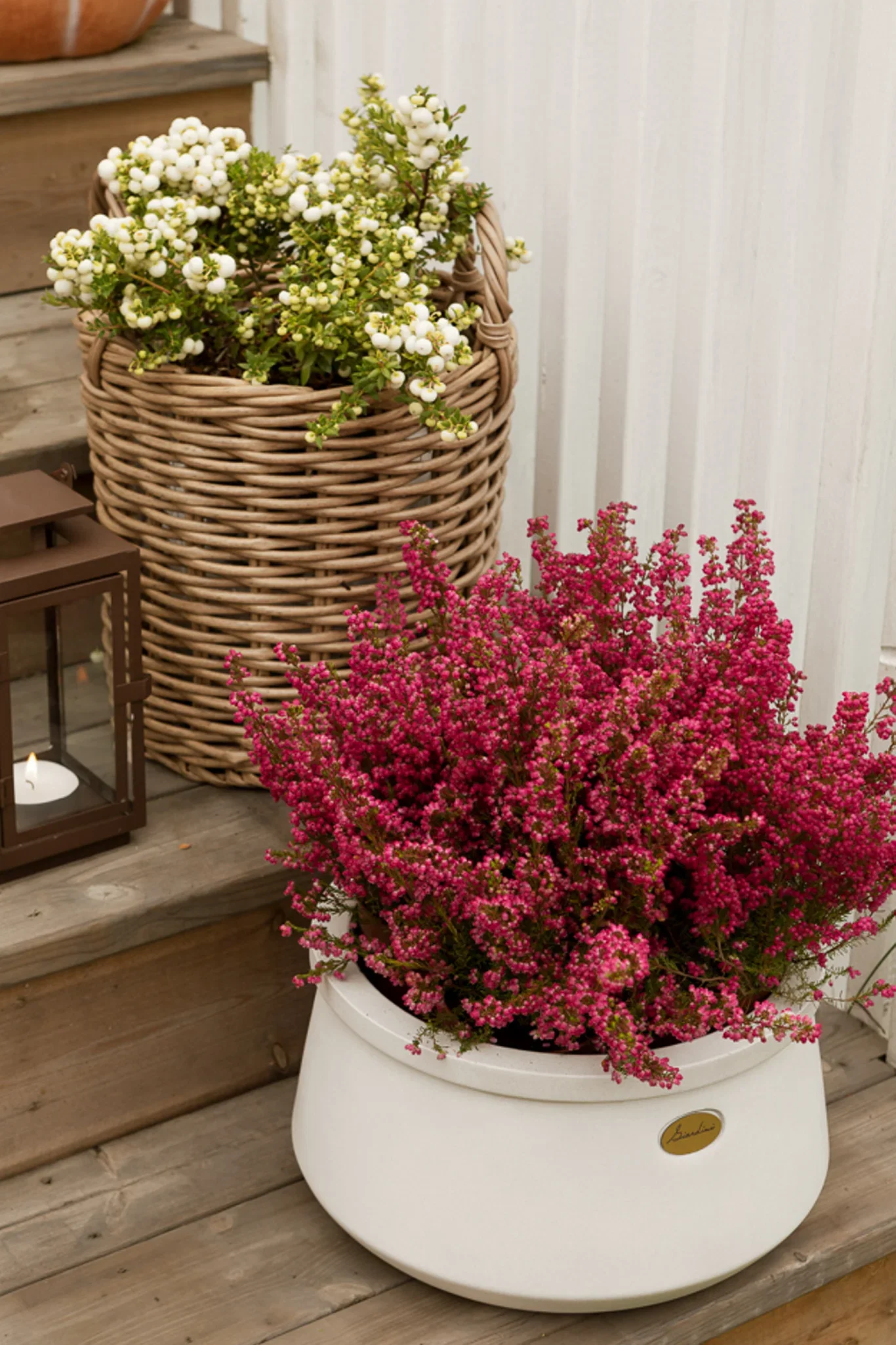 Giardini bowl D34 beige