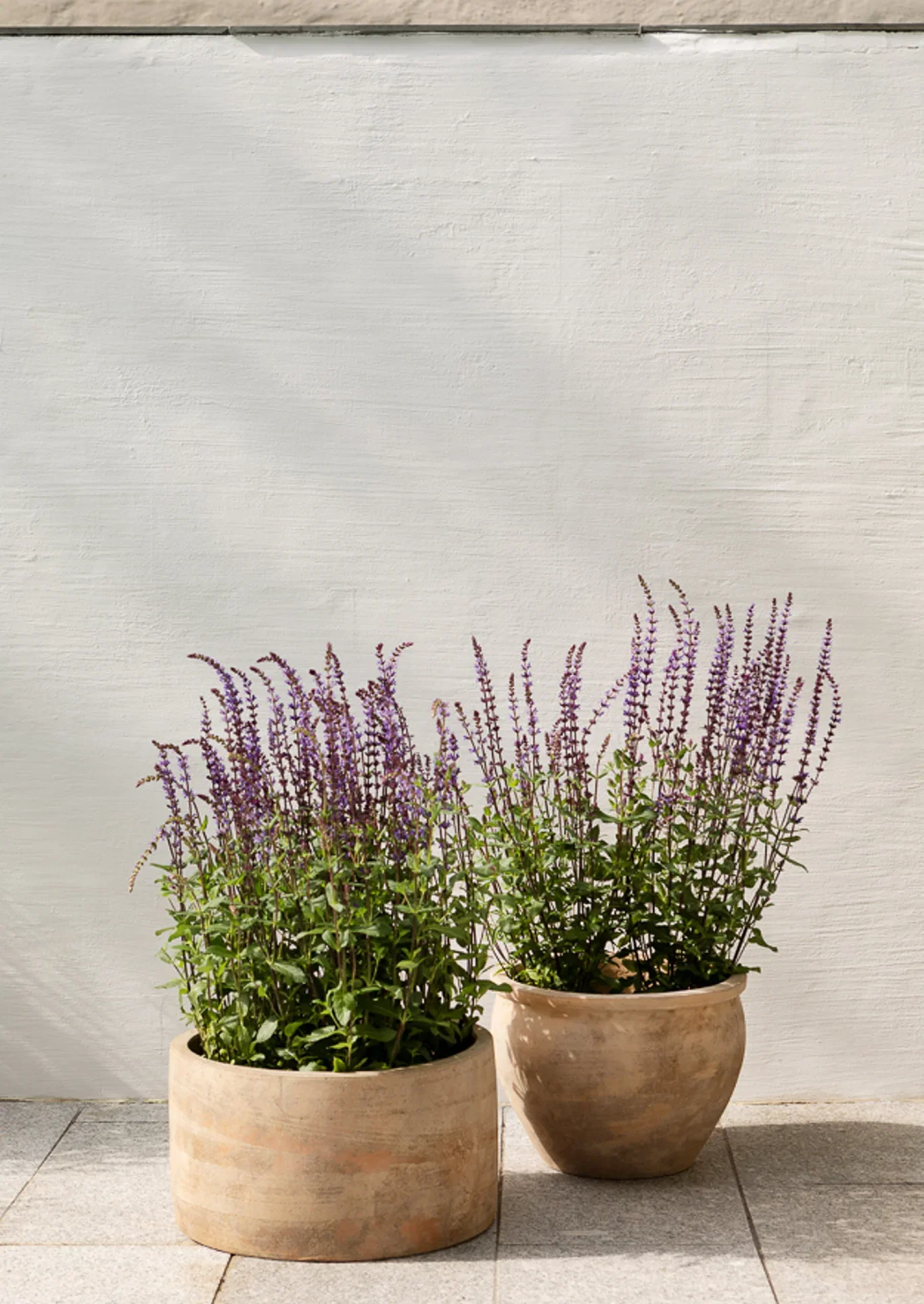 Rudy pot D41 terracotta