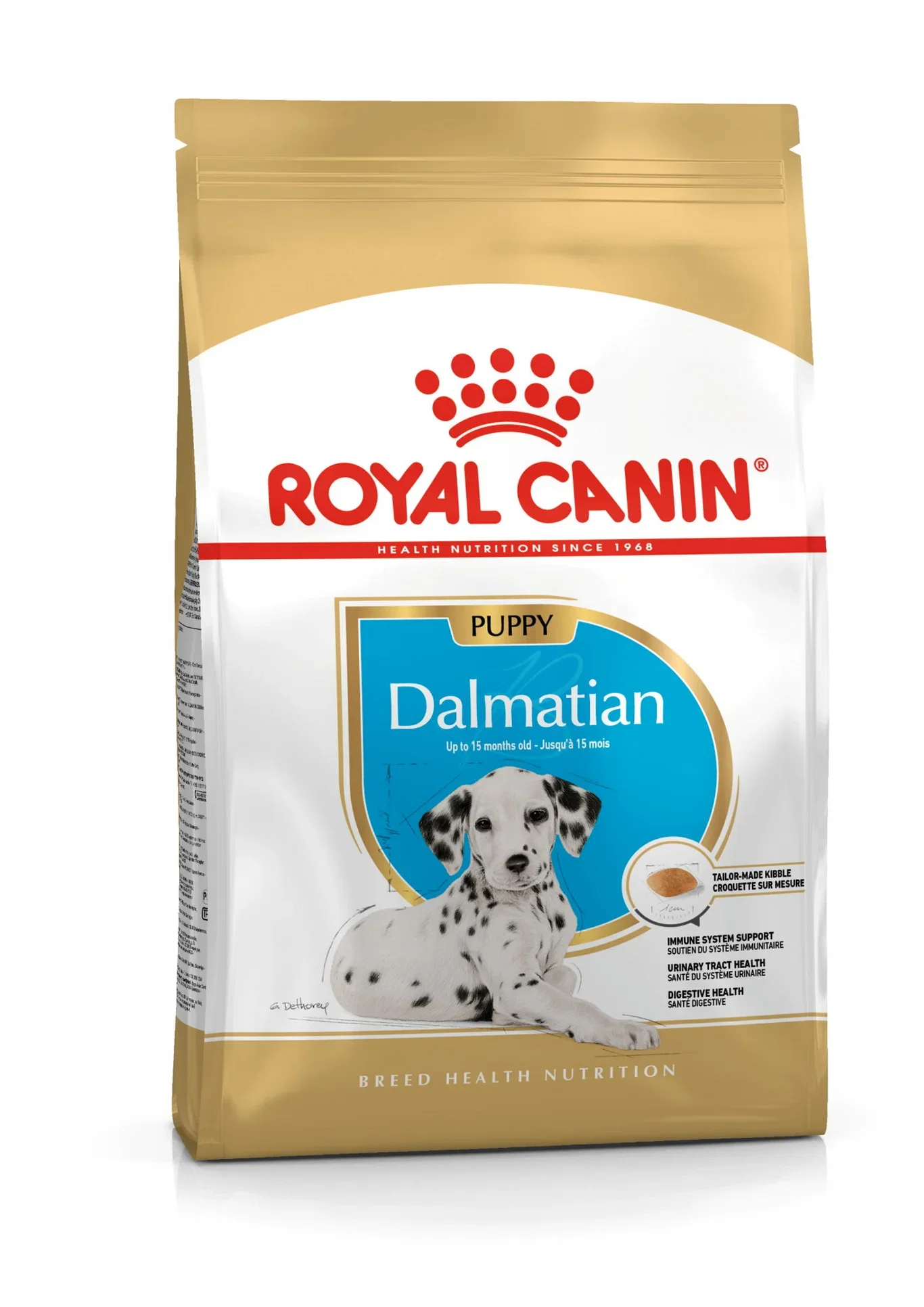 Dalmatian Puppy 12 kg