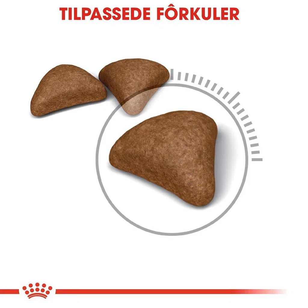 Royal Canin Hairball Care