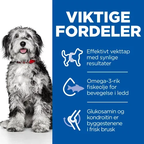 SP Canine Adult Perfect Weight & Active Mobility Medium