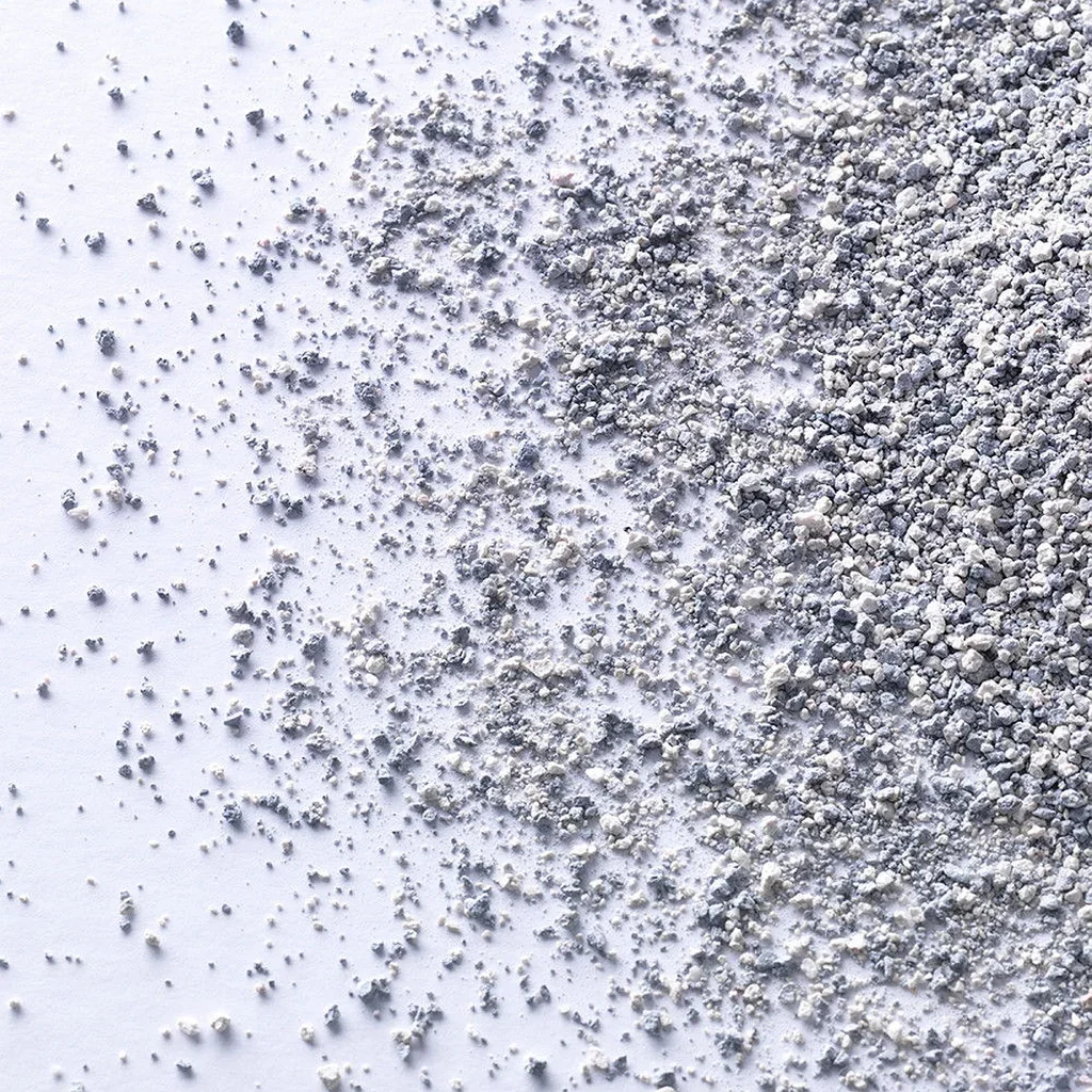 Ever Clean Extra Strong Clumping Unscented, 10 ltr