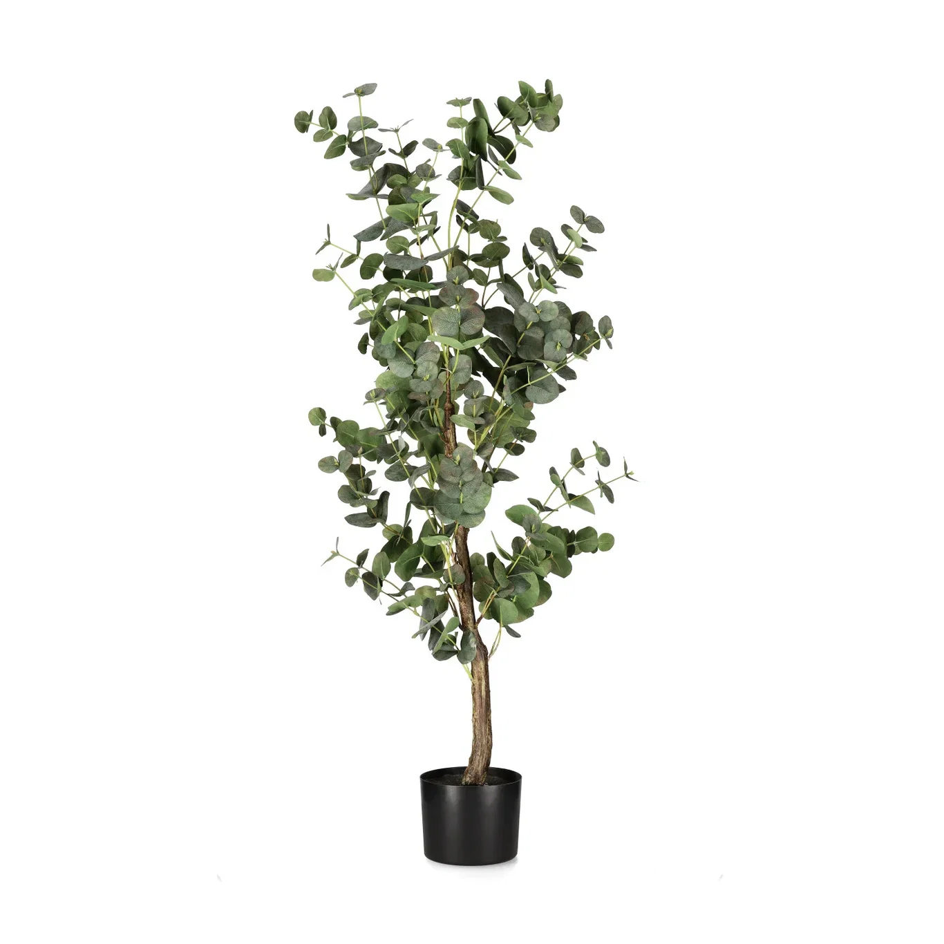 Eukalyptus kunstig