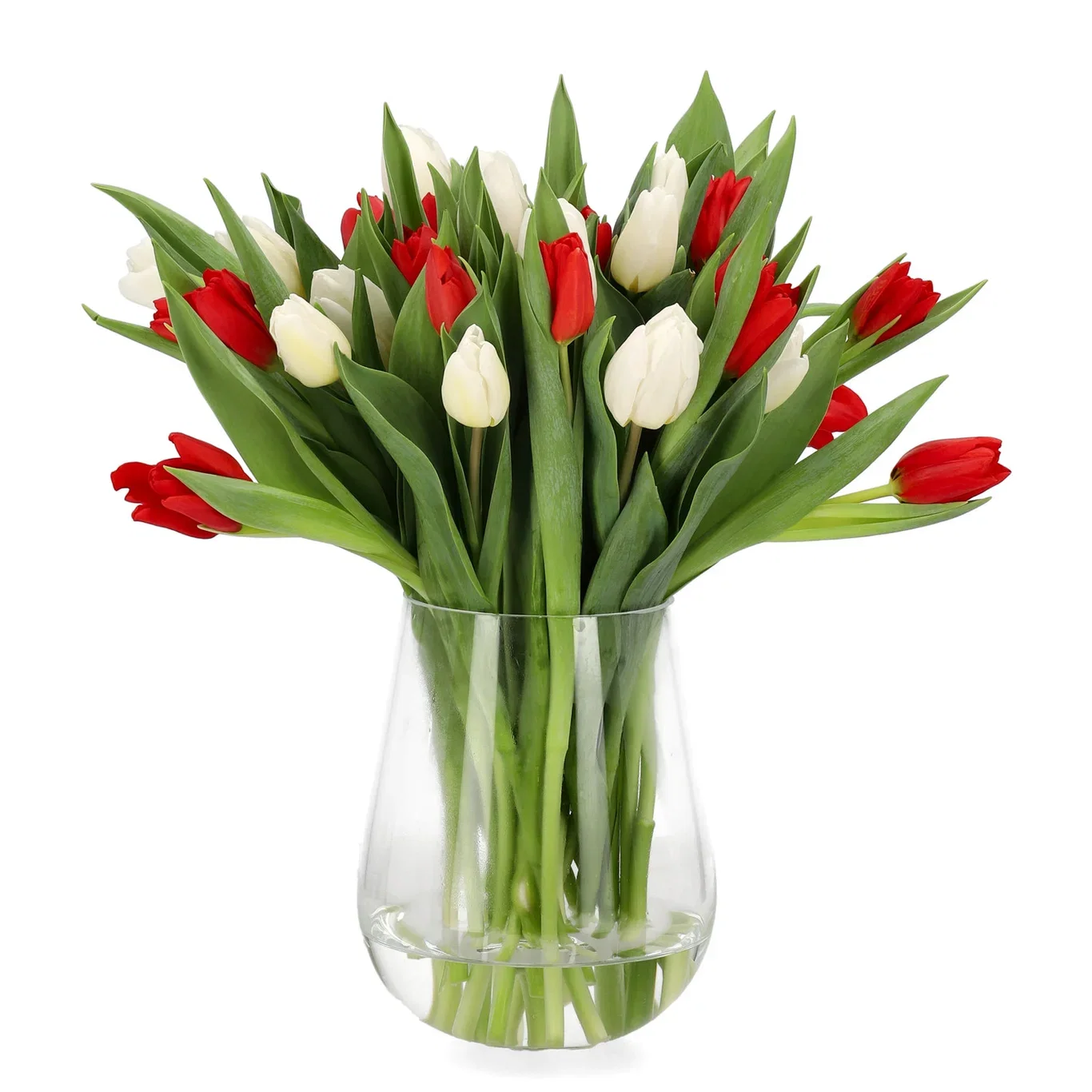 Tulipaner 20-pakning