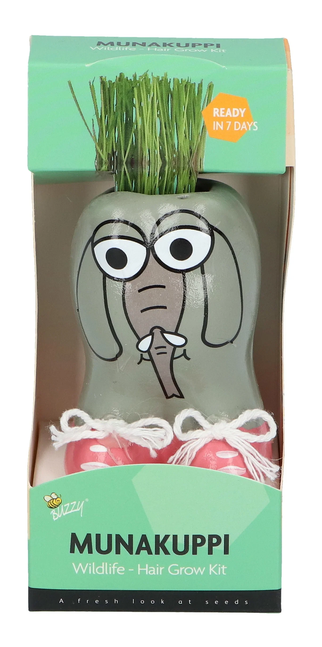 Liten potte med prydgress Munakuppi Elefant