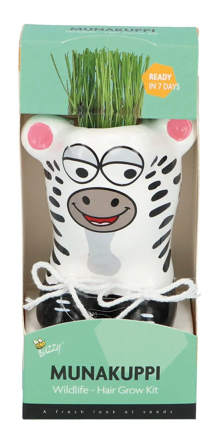 Liten potte med prydgress Munakuppi Sebra