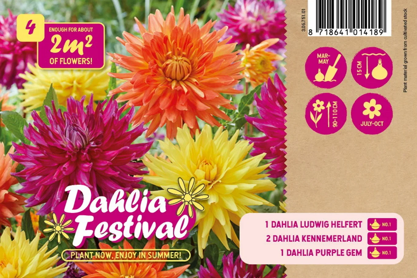 Dahlia Festival