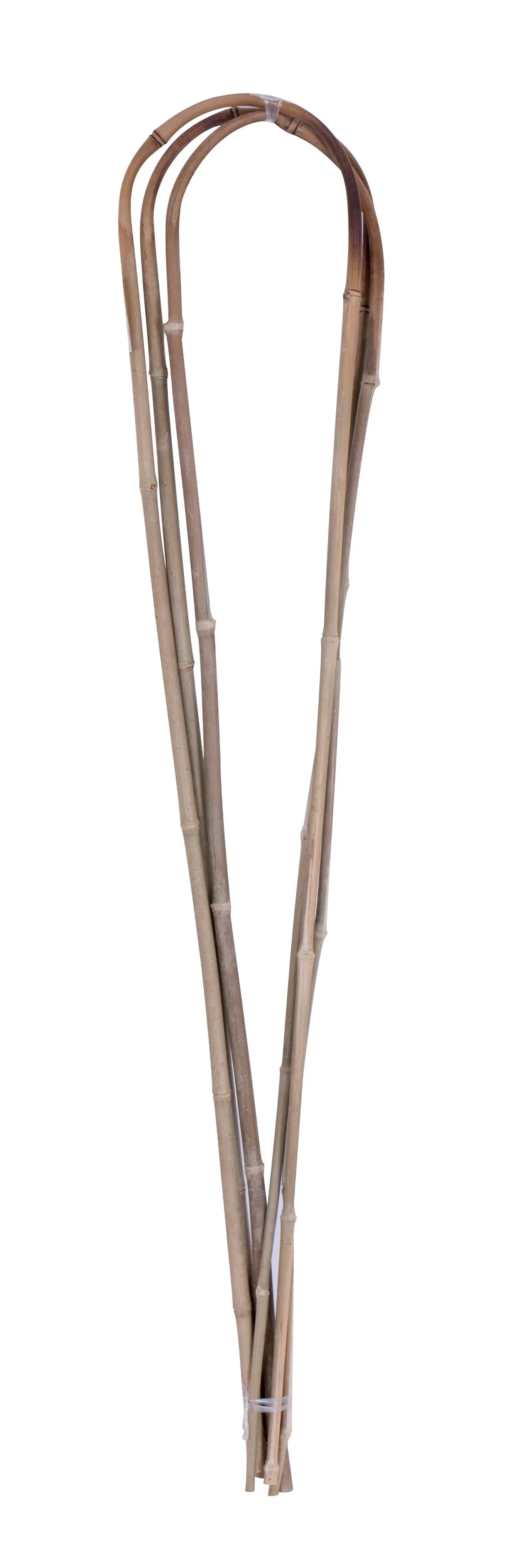 Bamboo plant support 3pk