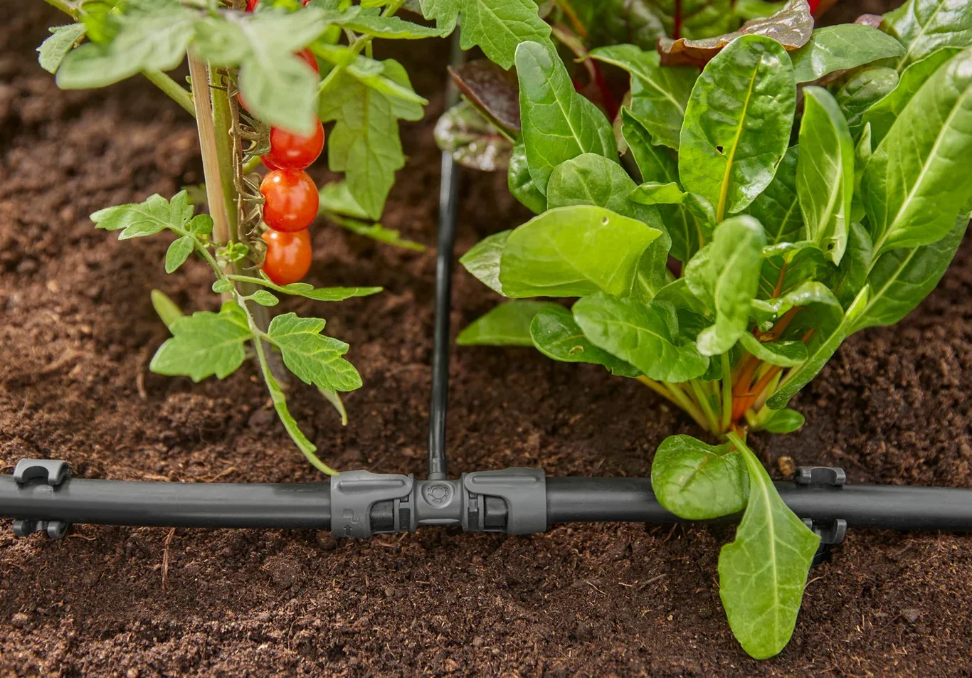 Connector 13 mm - 4.6 mm