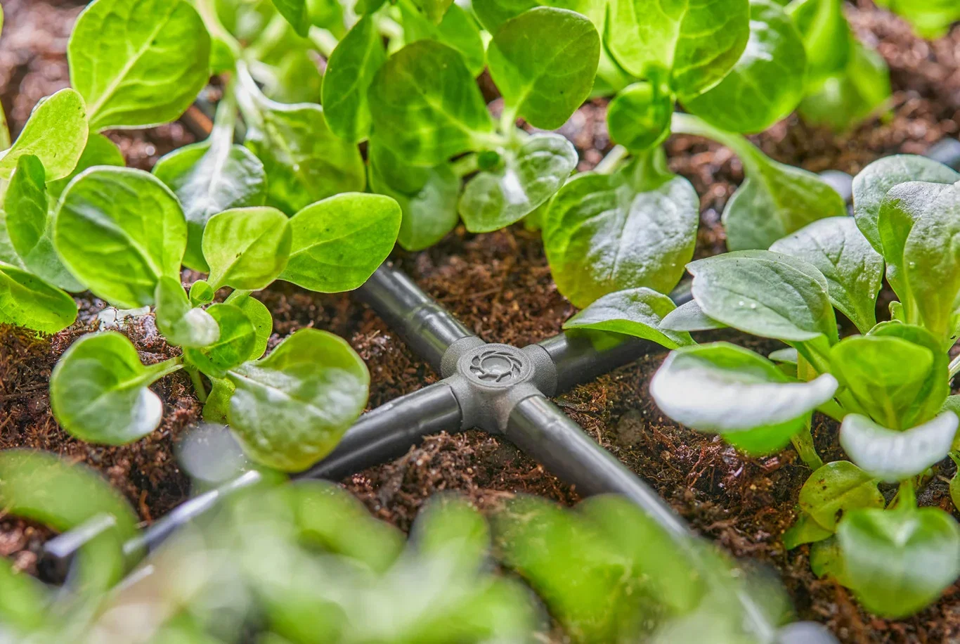 Forgrener 4 veis 4,6 mm 3/16" GARDENA