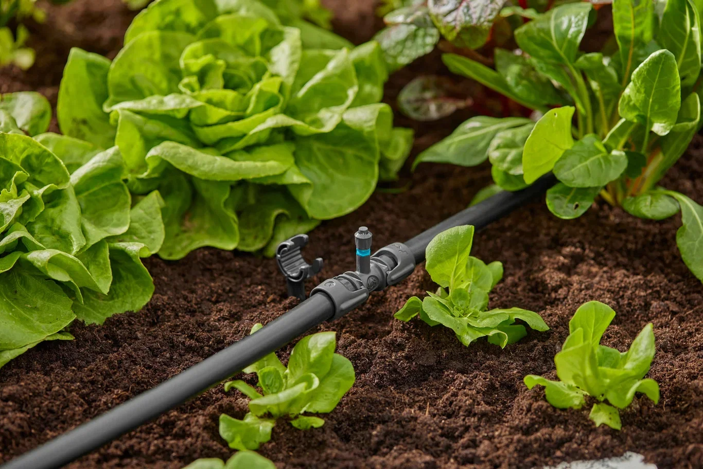 MDS Spray Nozzle 360°