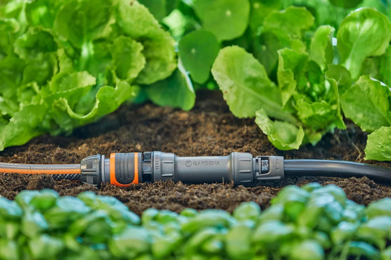 MDS Master Unit 1000